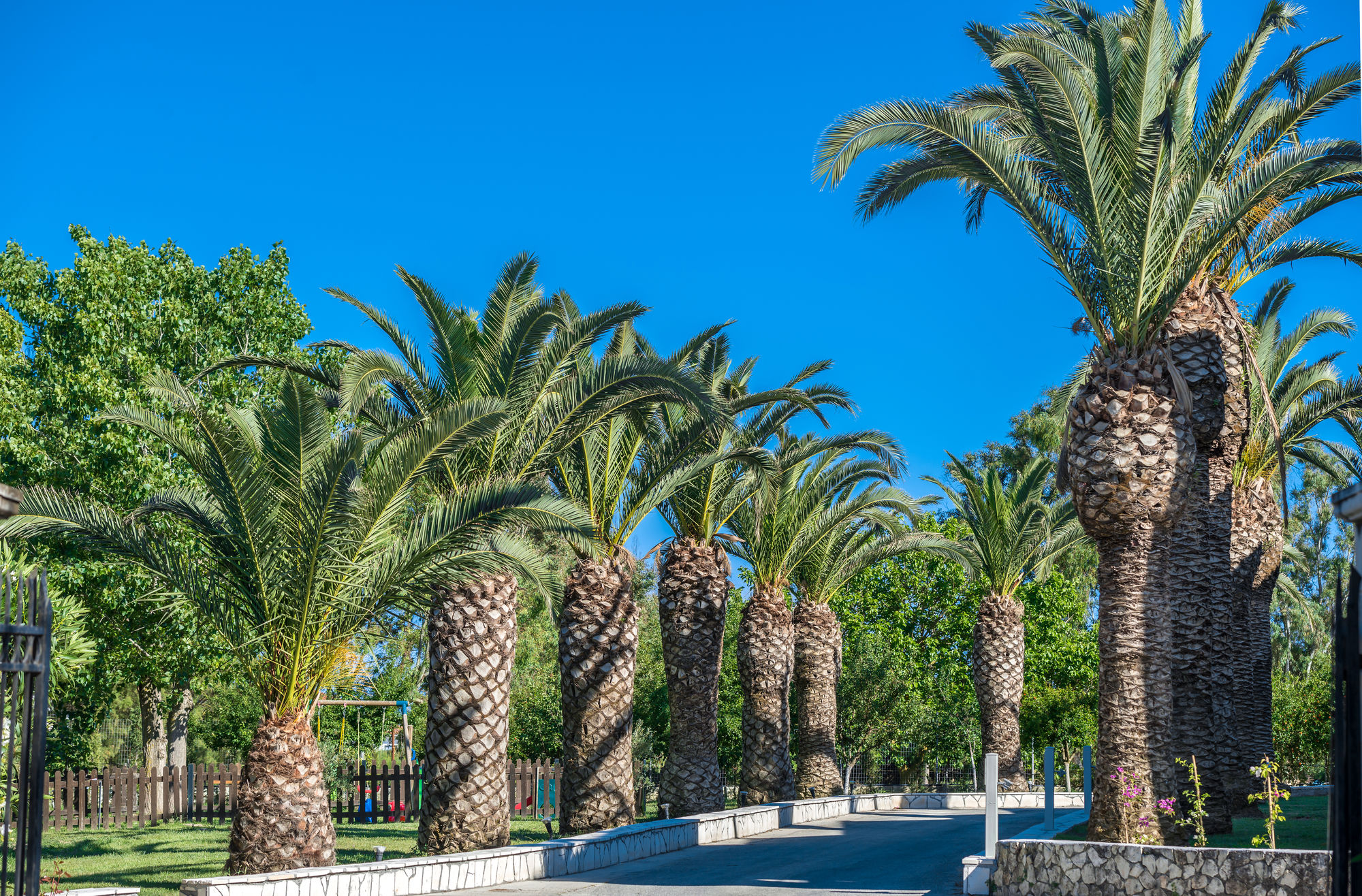 Фото Bitzaro Palace Hotel - All inclusive