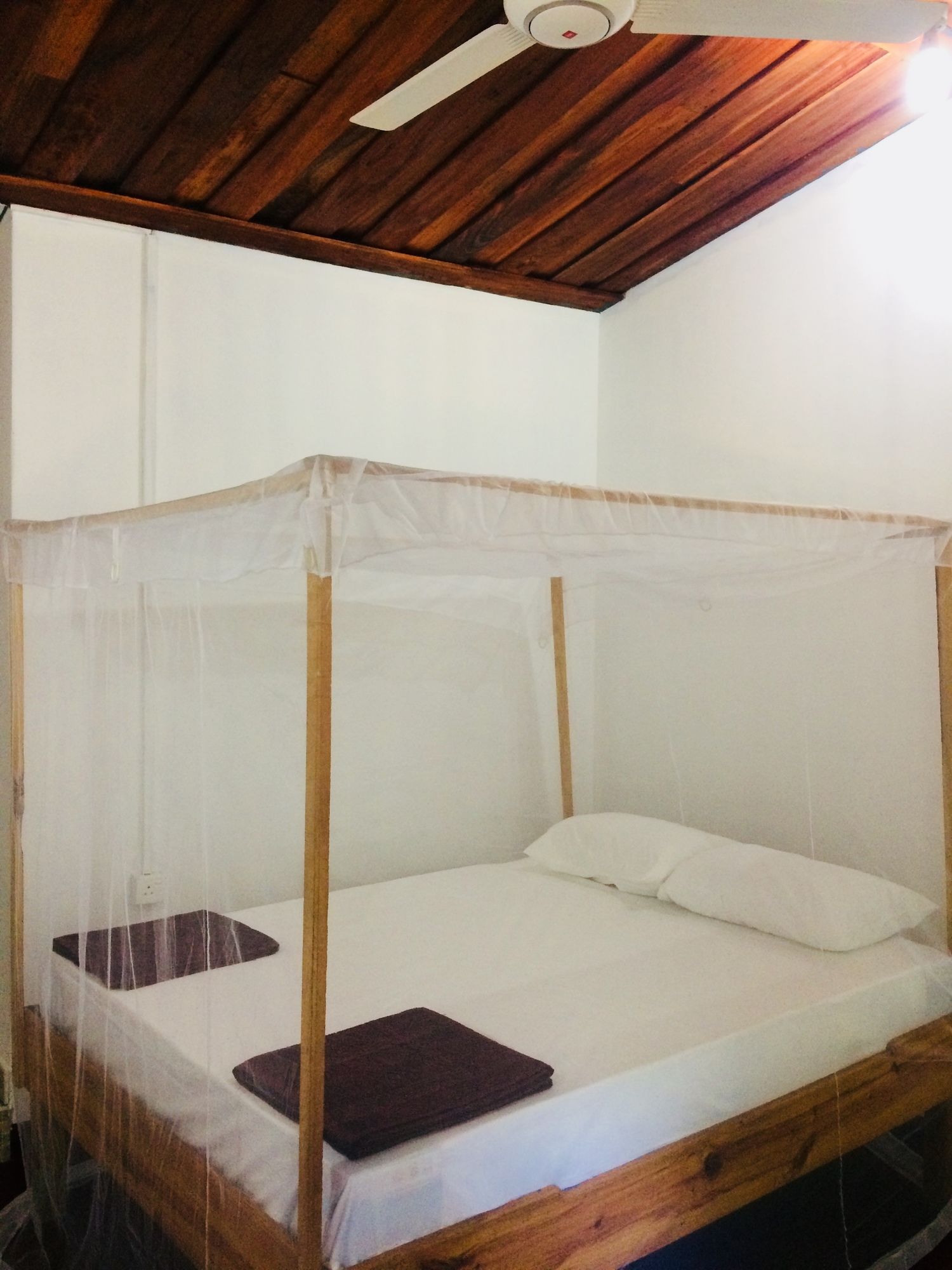 Фото Tropicana homestay