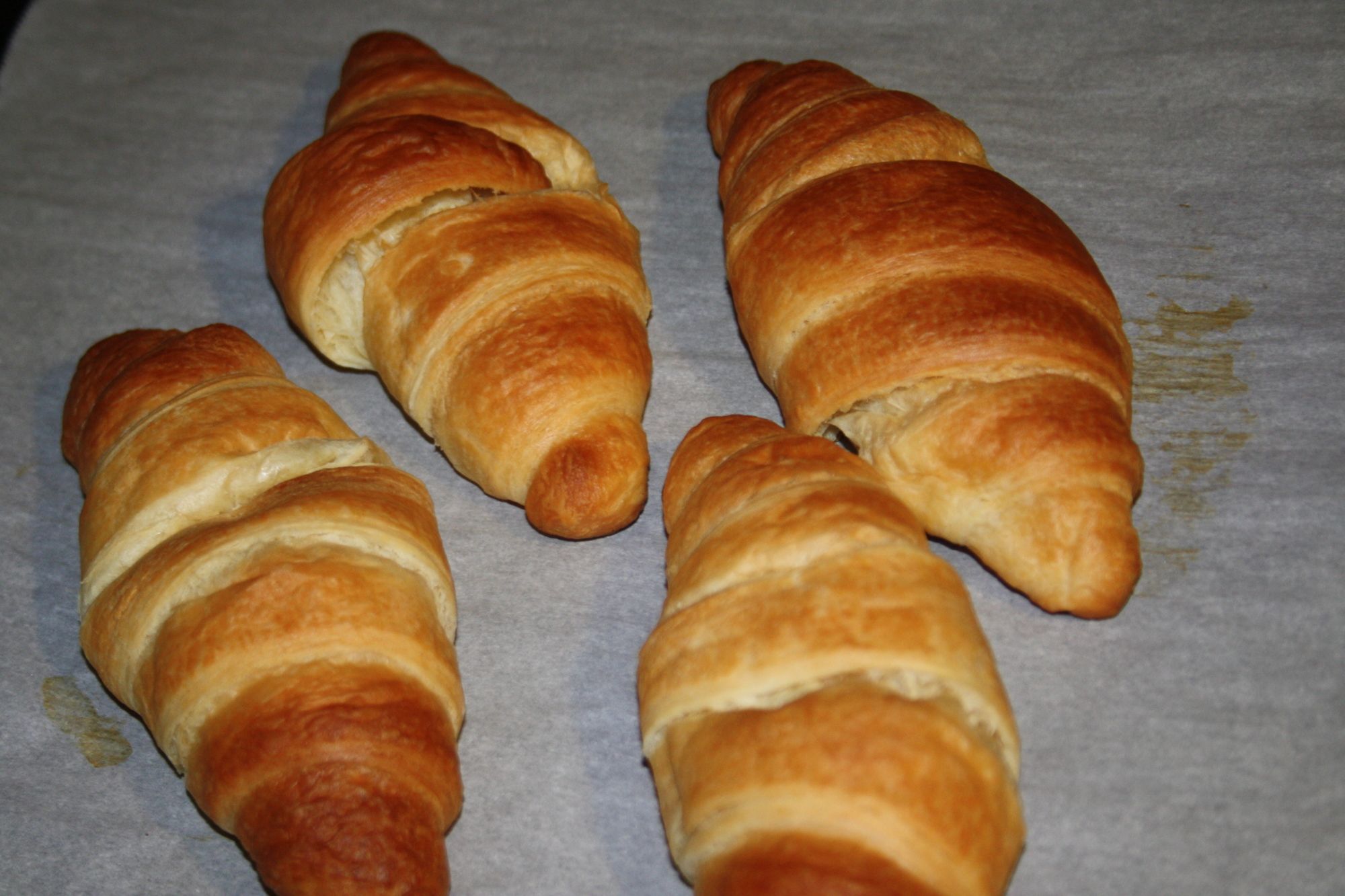 Фото Beside the Vatican