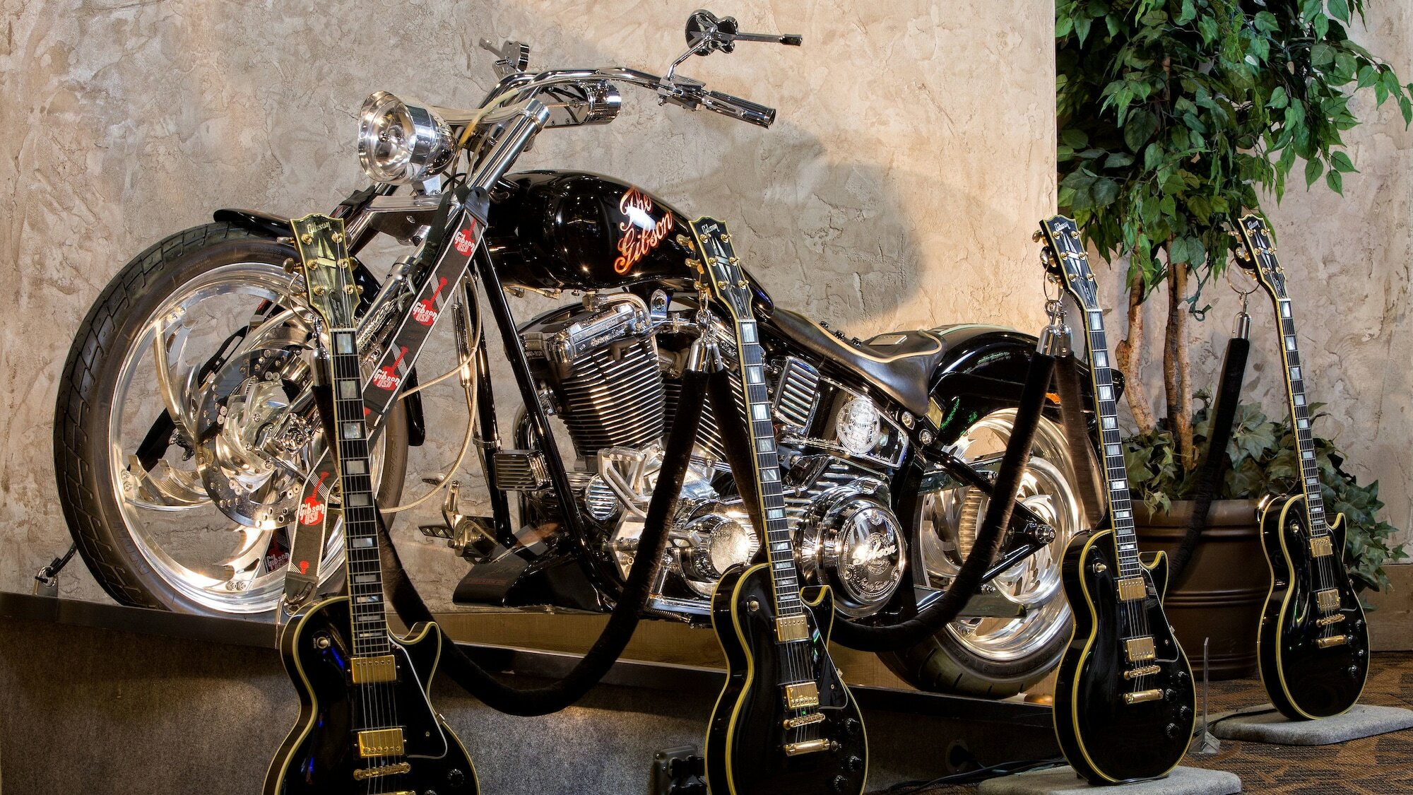 Фото 179965646568