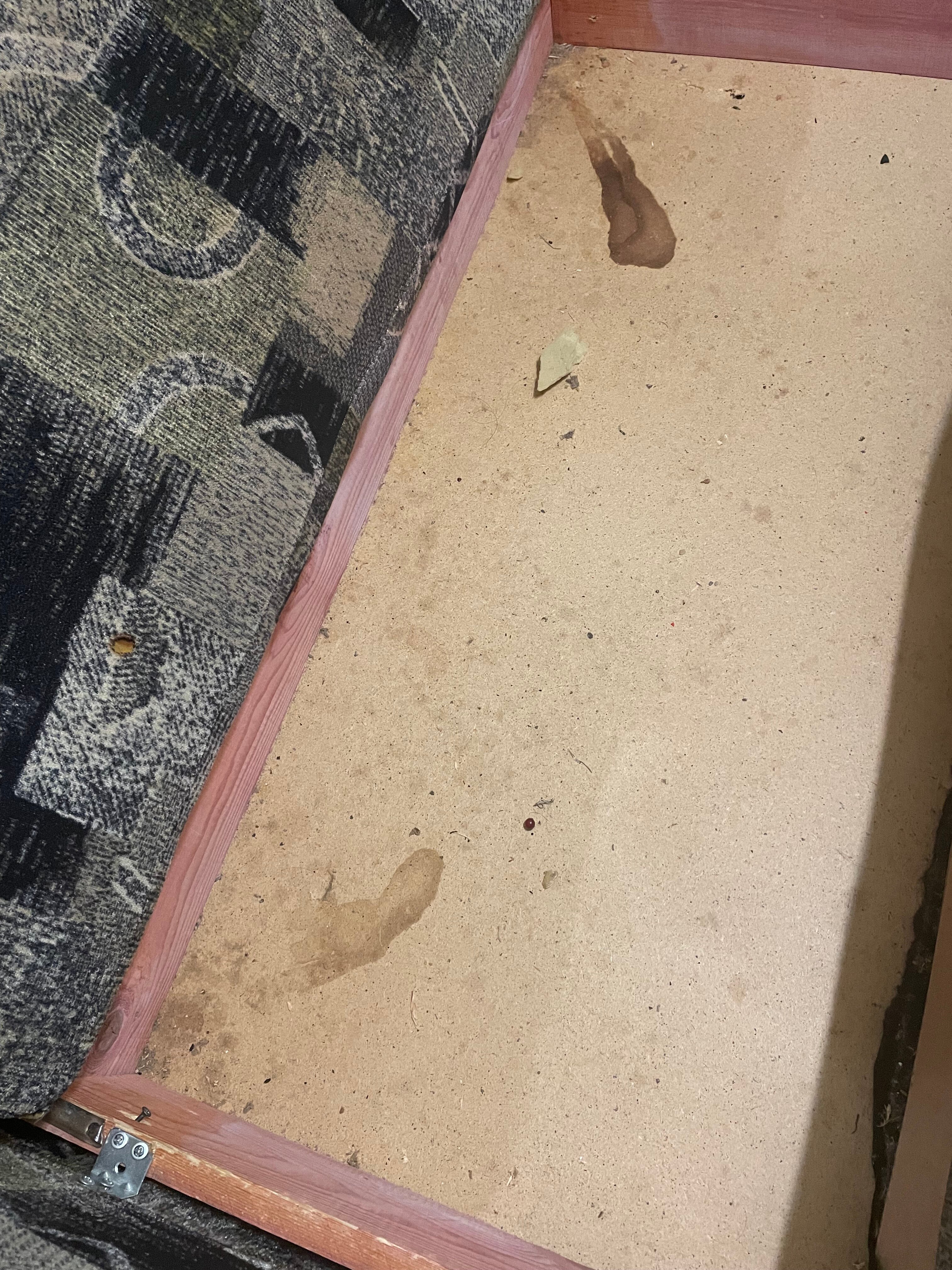 Фото Чёрное и белое