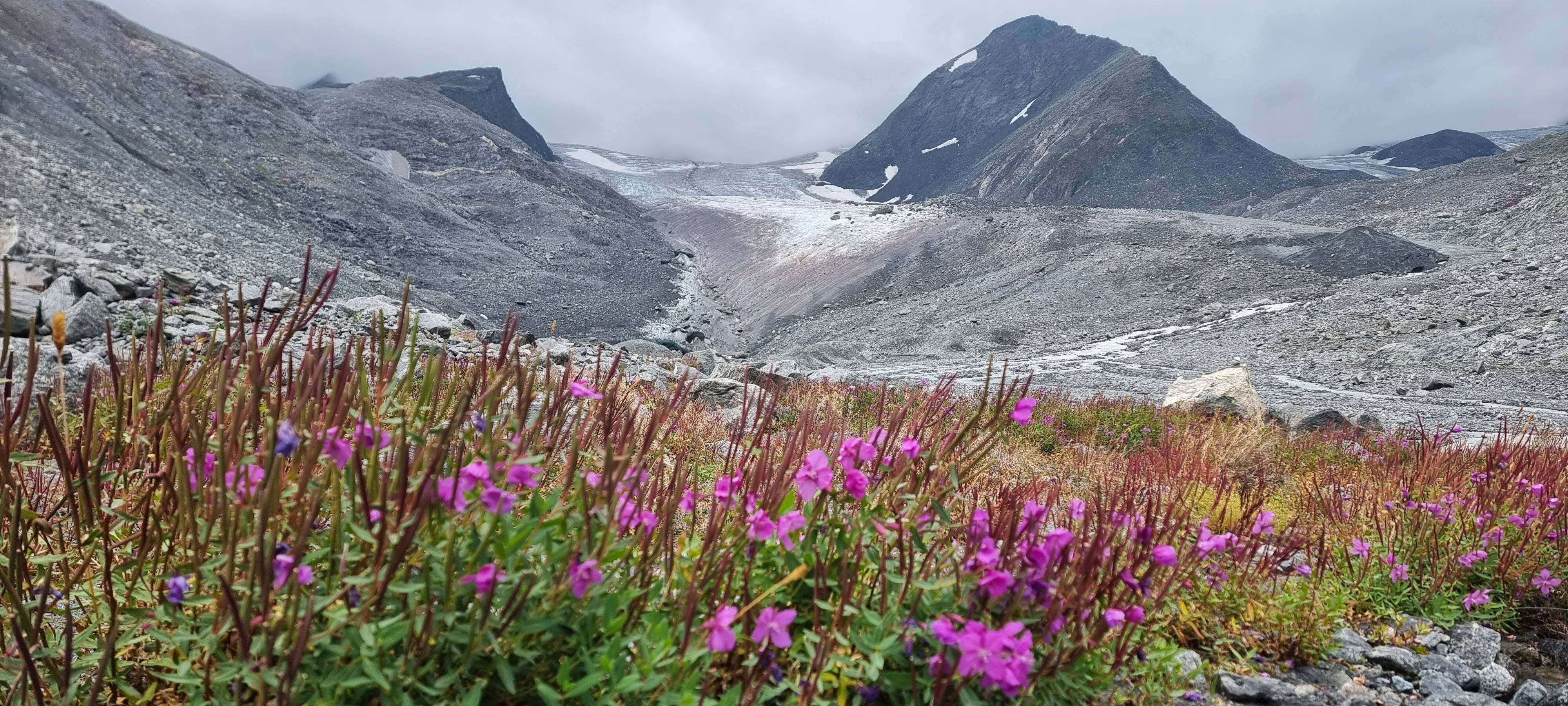Фото Заимка Камза