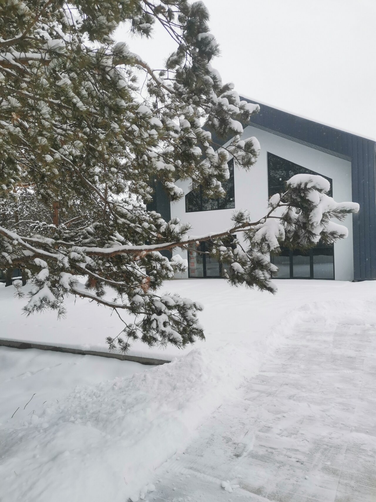 Фото Малинки