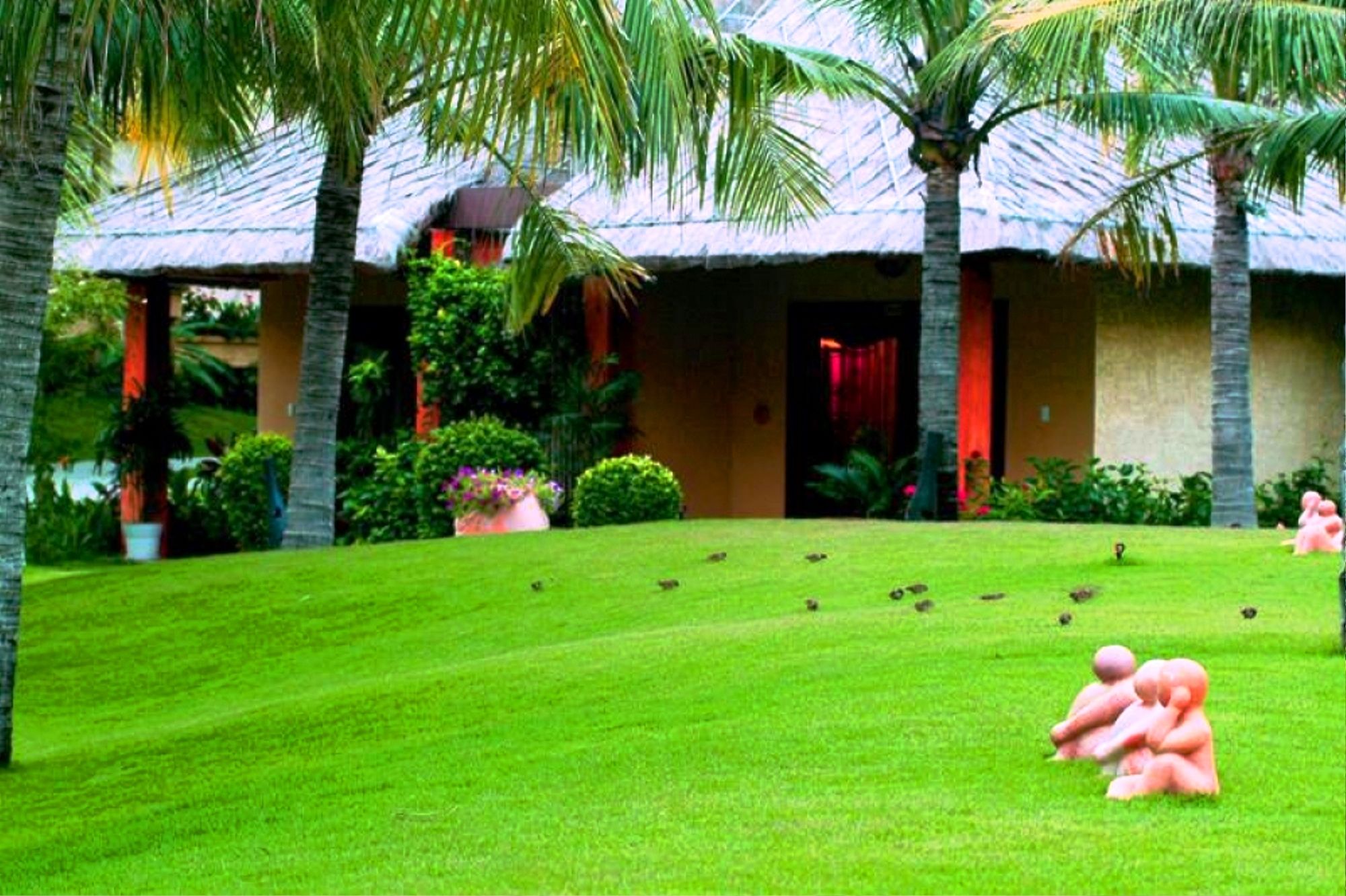 Фото Terracotta Resort & SPA