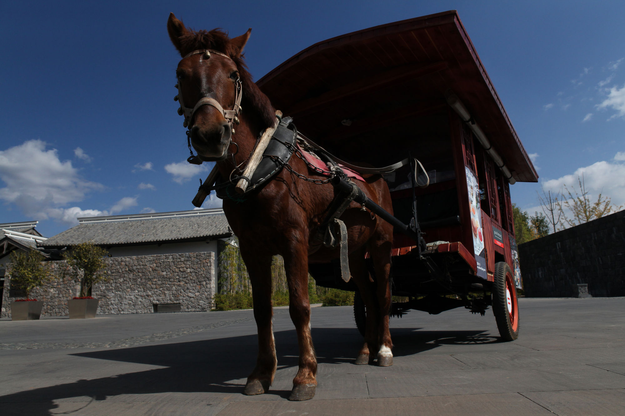 Фото Pullman Lijiang Resort & SPA