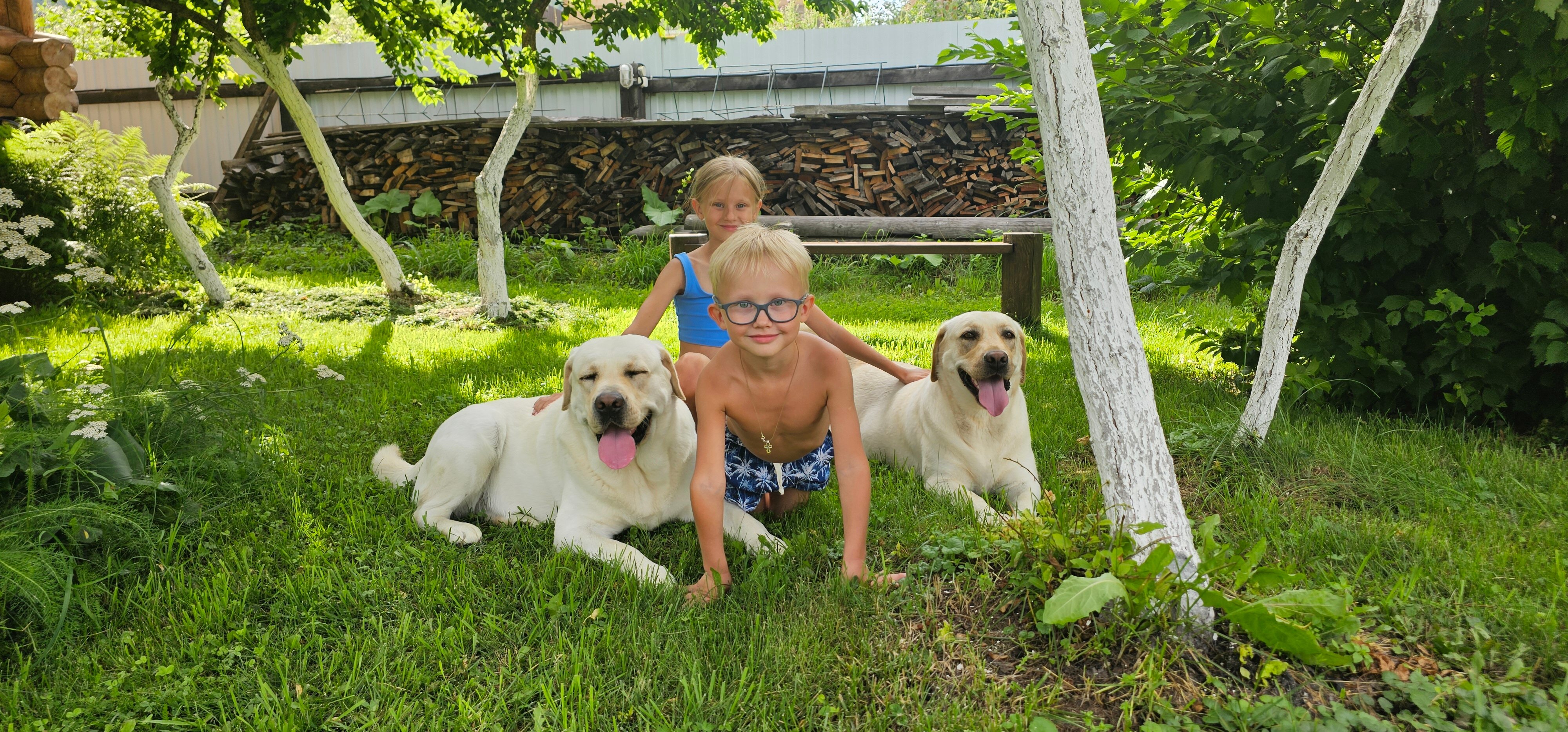 Фото Люминица