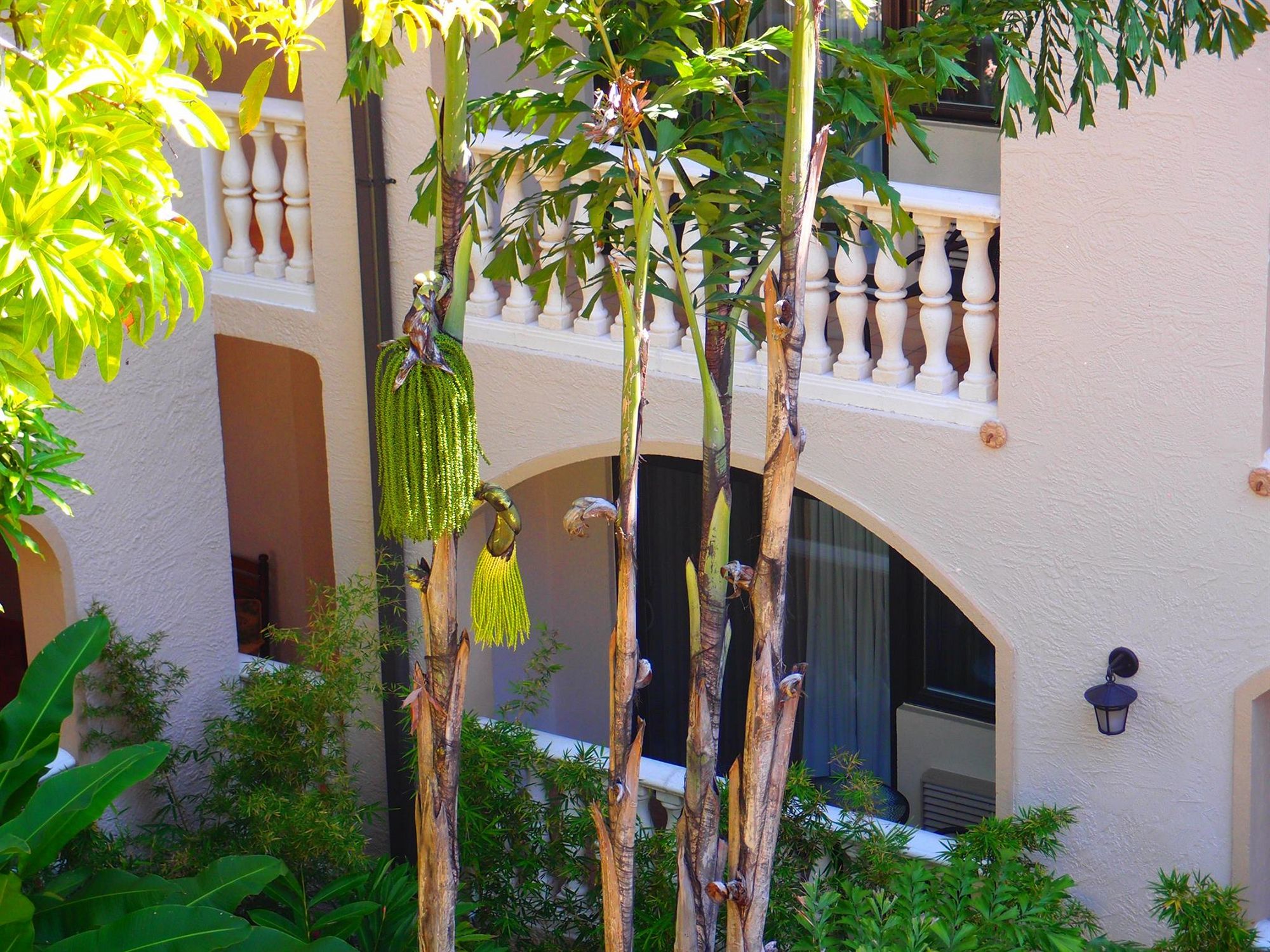 Фото Villa Thérèse