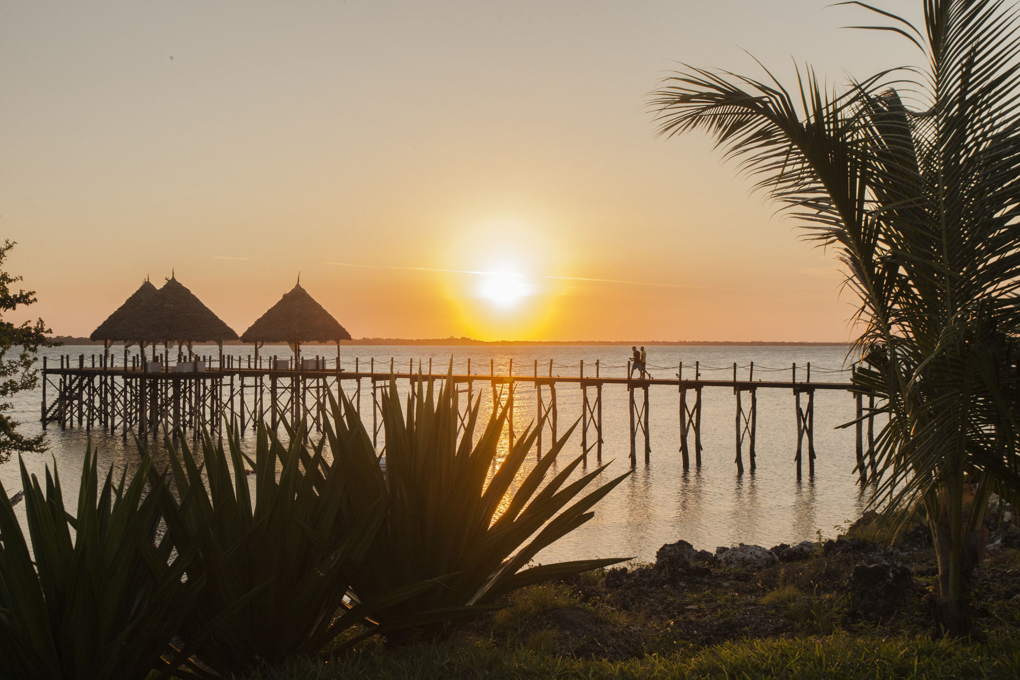 Фото Fruit & Spice Wellness Resort Zanzibar