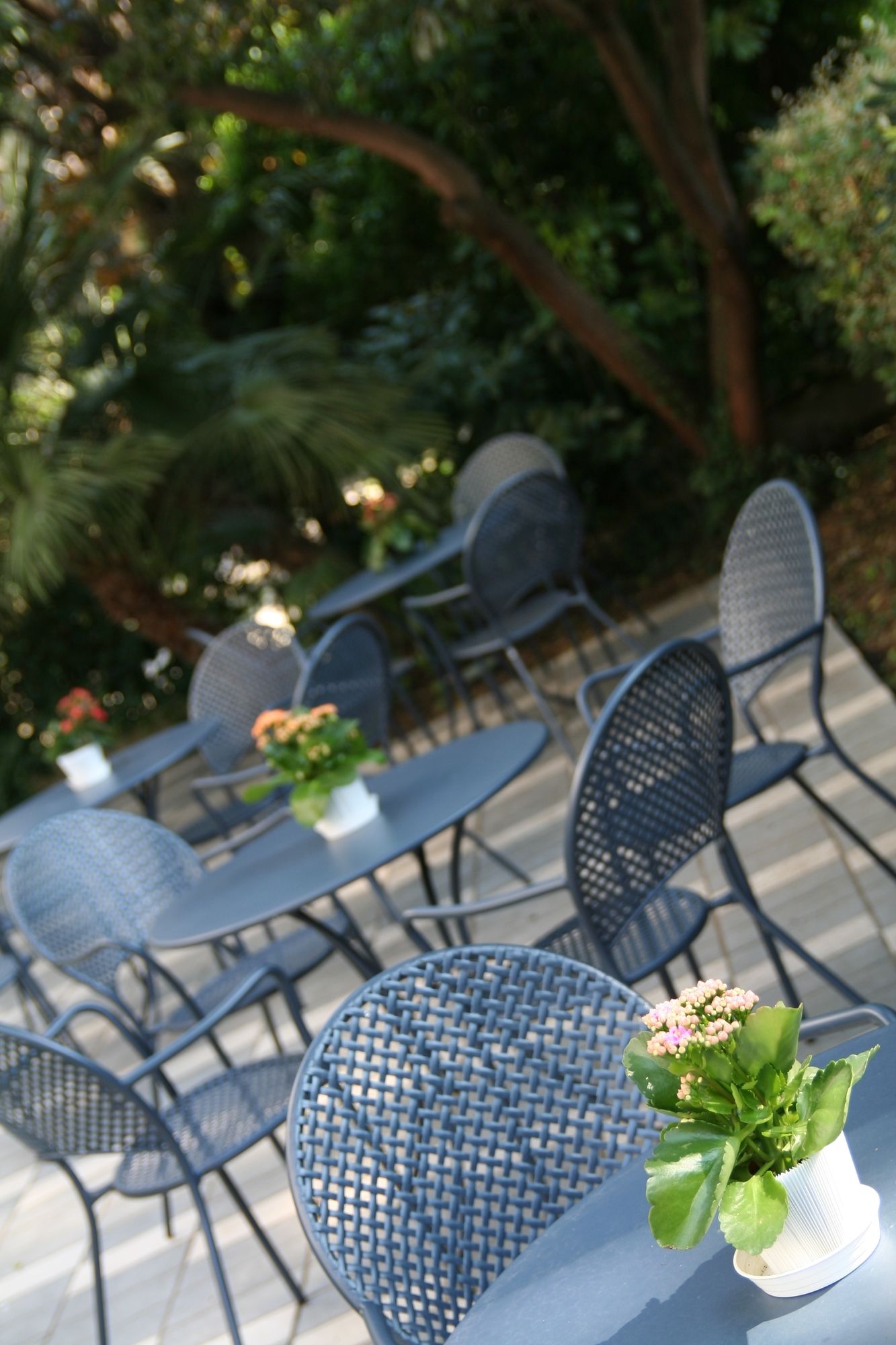 Фото Hotel Augustus