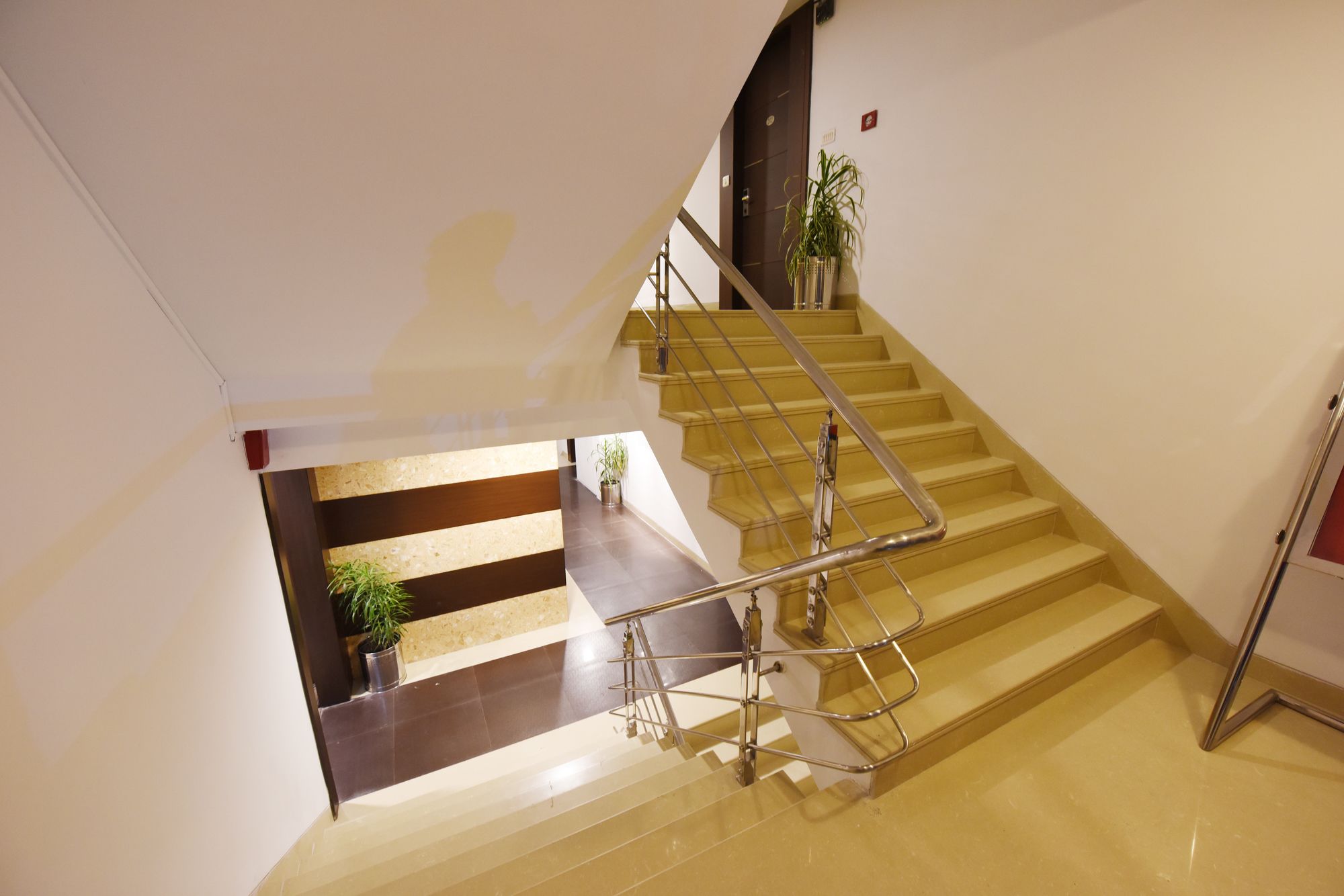 Фото The Corporate