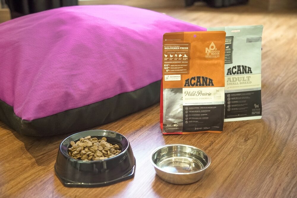 Фото Petit Palace Plaza del Carmen