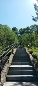 Black Mountain 568 meters (Queensland), mountain peak