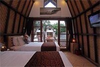 Фото Mojo Resort