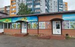 A good seed (Magzhan Zhumabayev Street, 78) ، محل بقالة