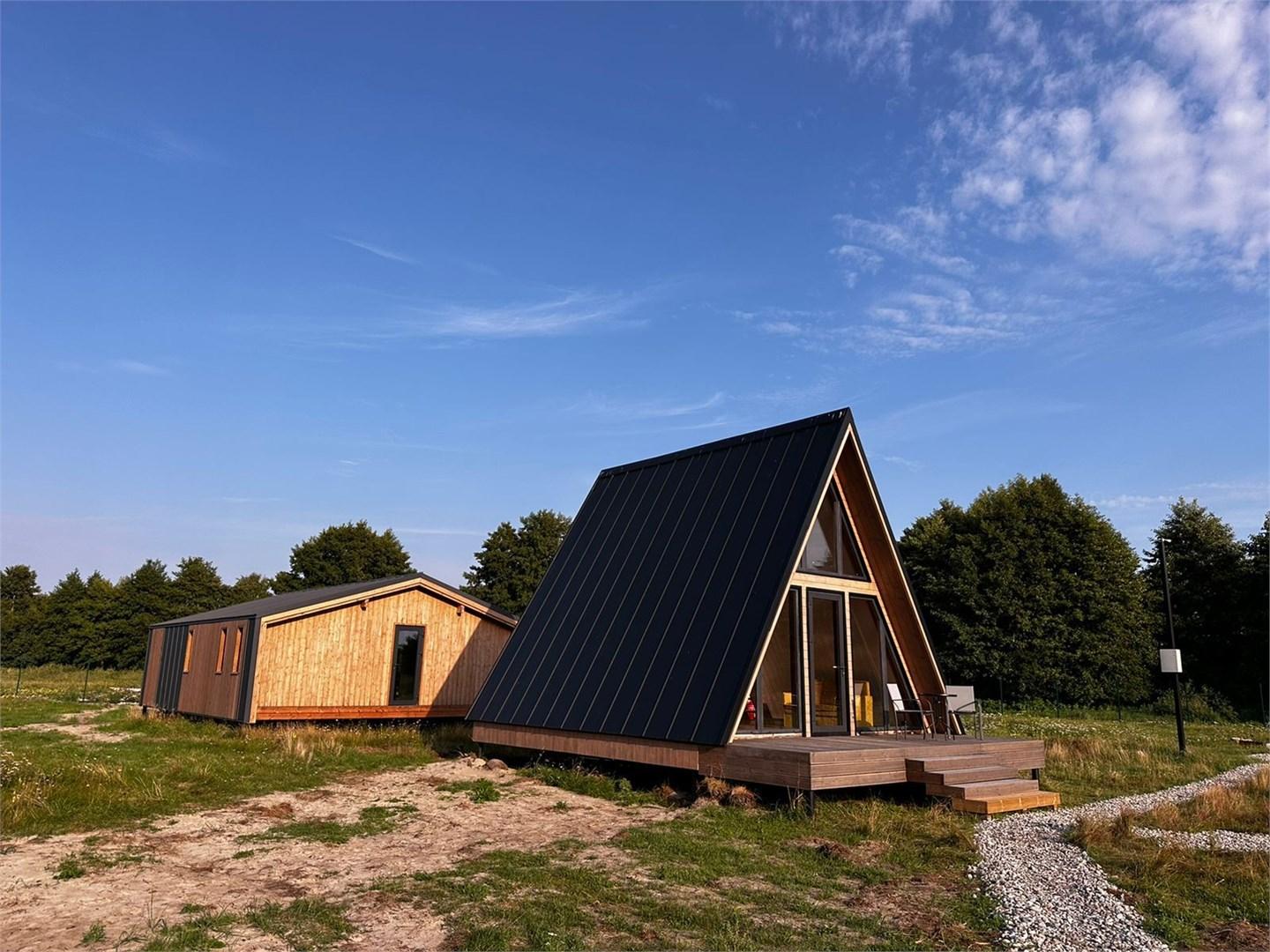 Фото Малина