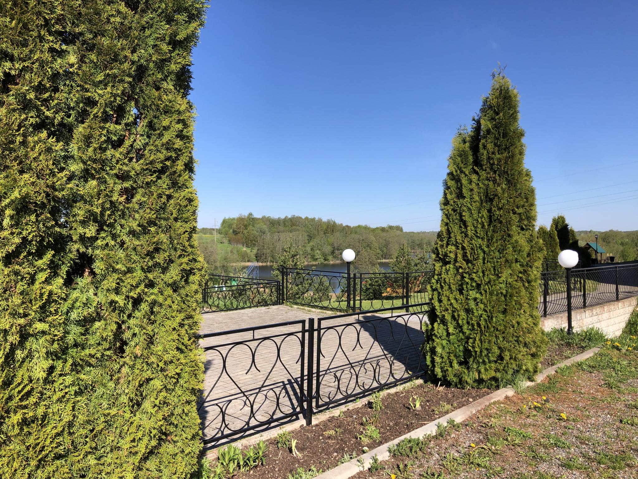 Фото Лесная гавань