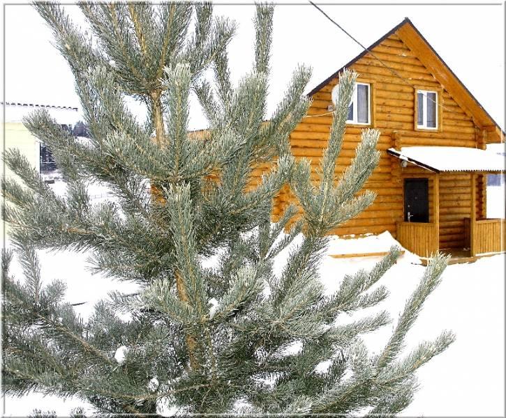 Фото Белый берег