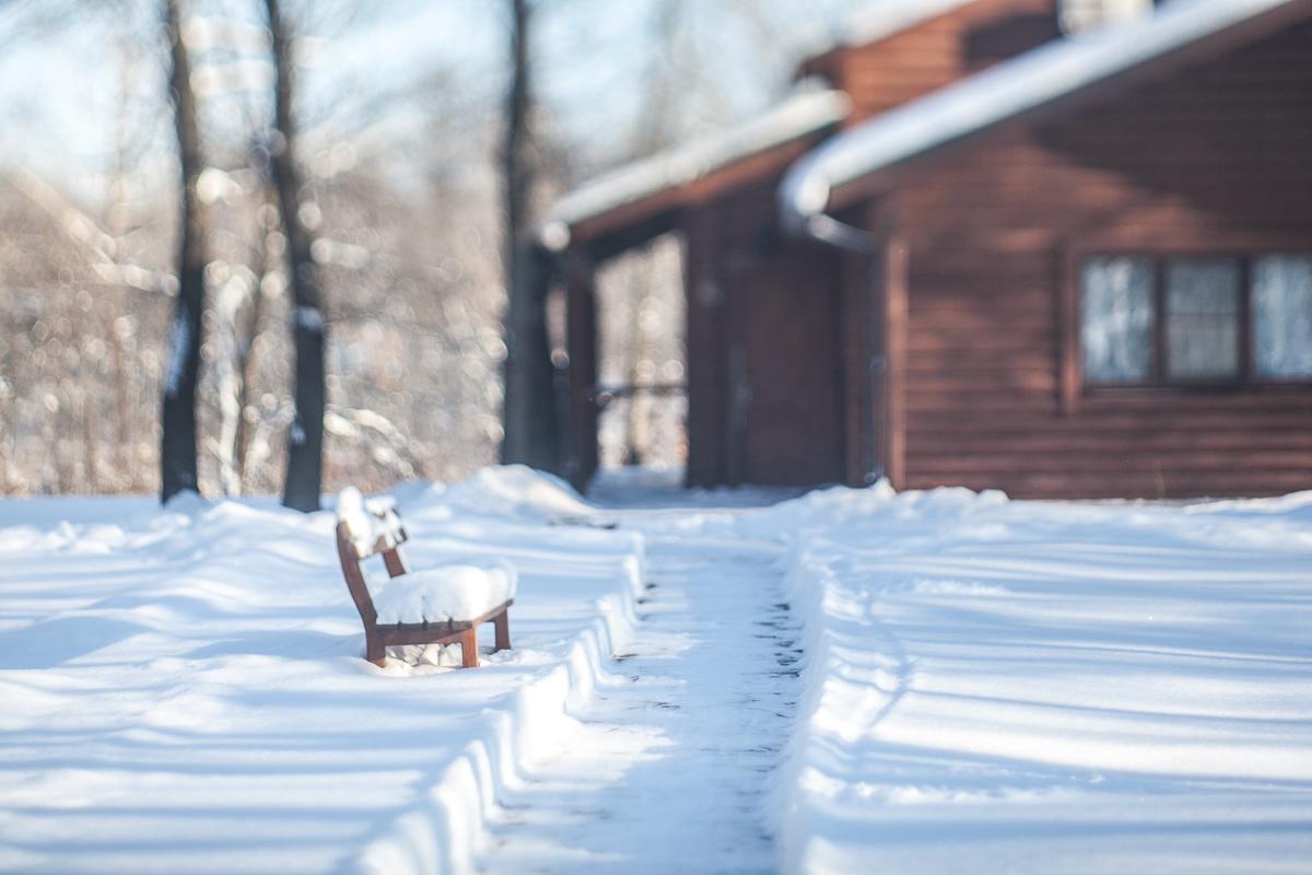Фото Дубровский