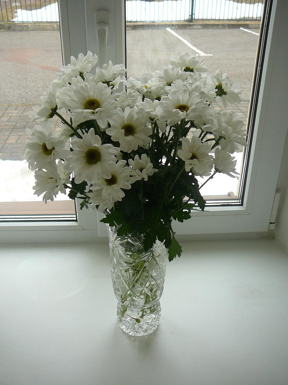 Фото Фаворит