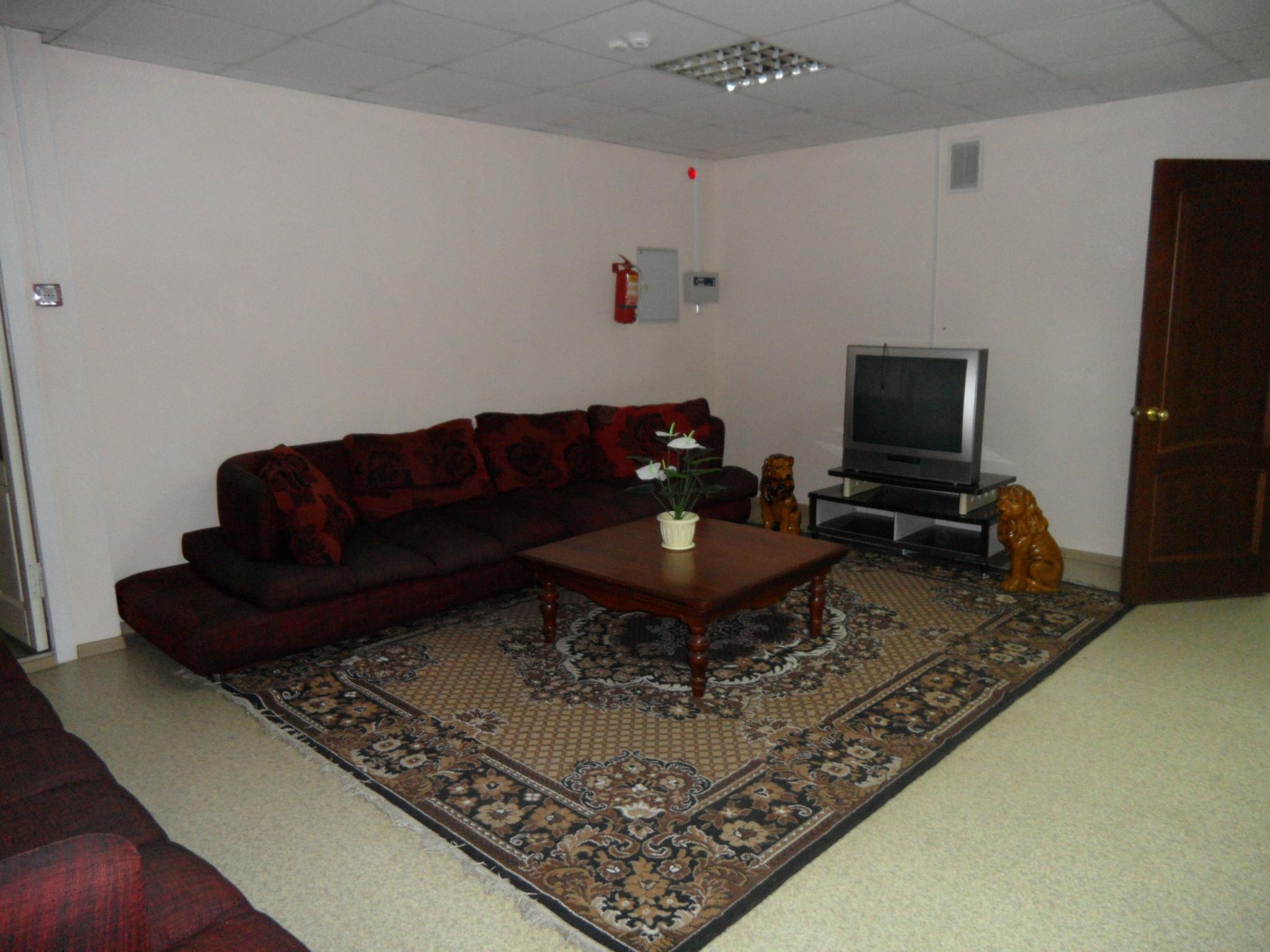 Фото Березка