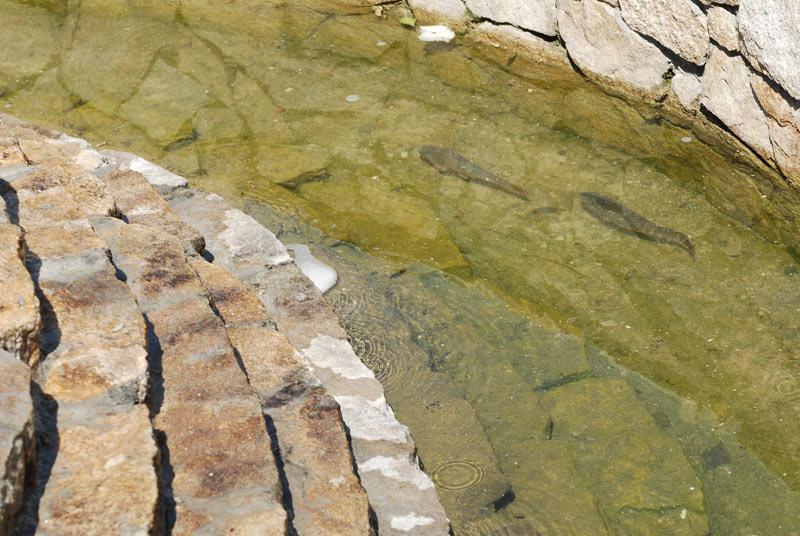 Фото Гостиный дом Монетный