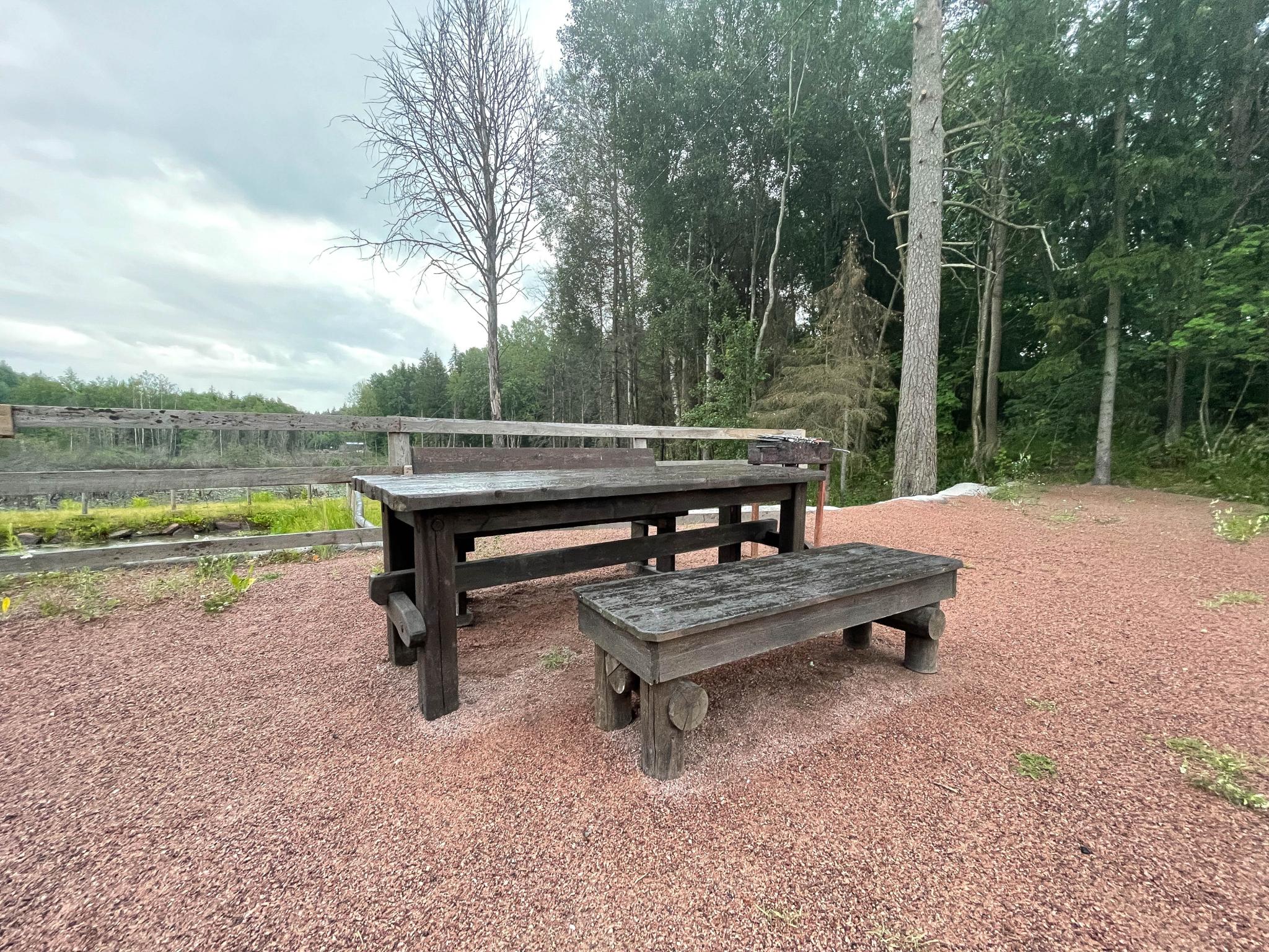 Фото Сканди