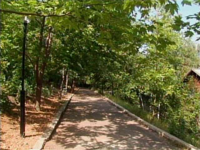 Фото Альбатрос