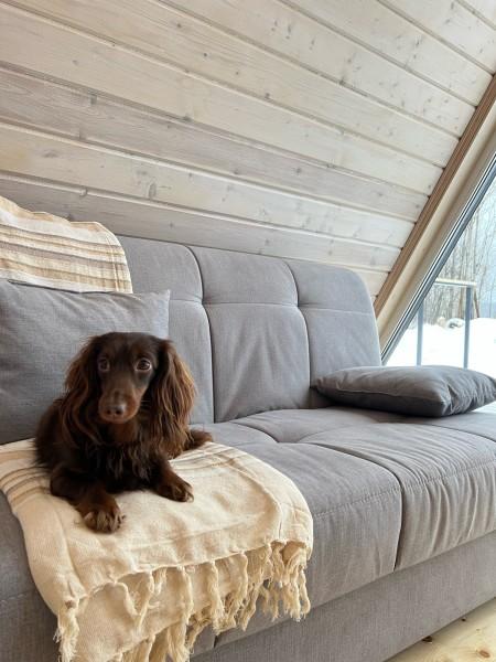 Фото Зайкина дача