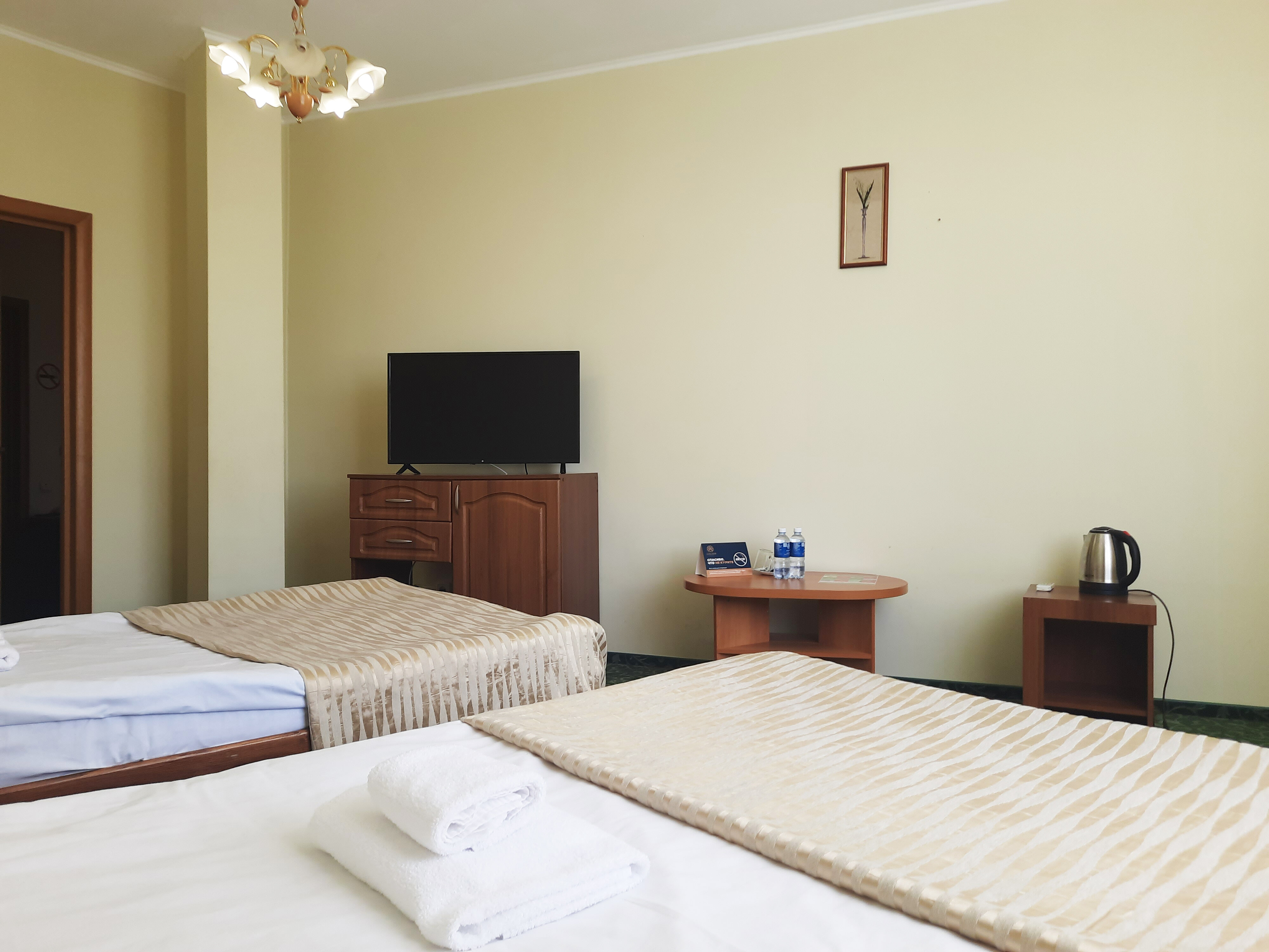 Фото Азалия