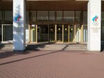 Russian curling Federation (Moscow, Luzhnetskaya Embankment, 8с1), community organization