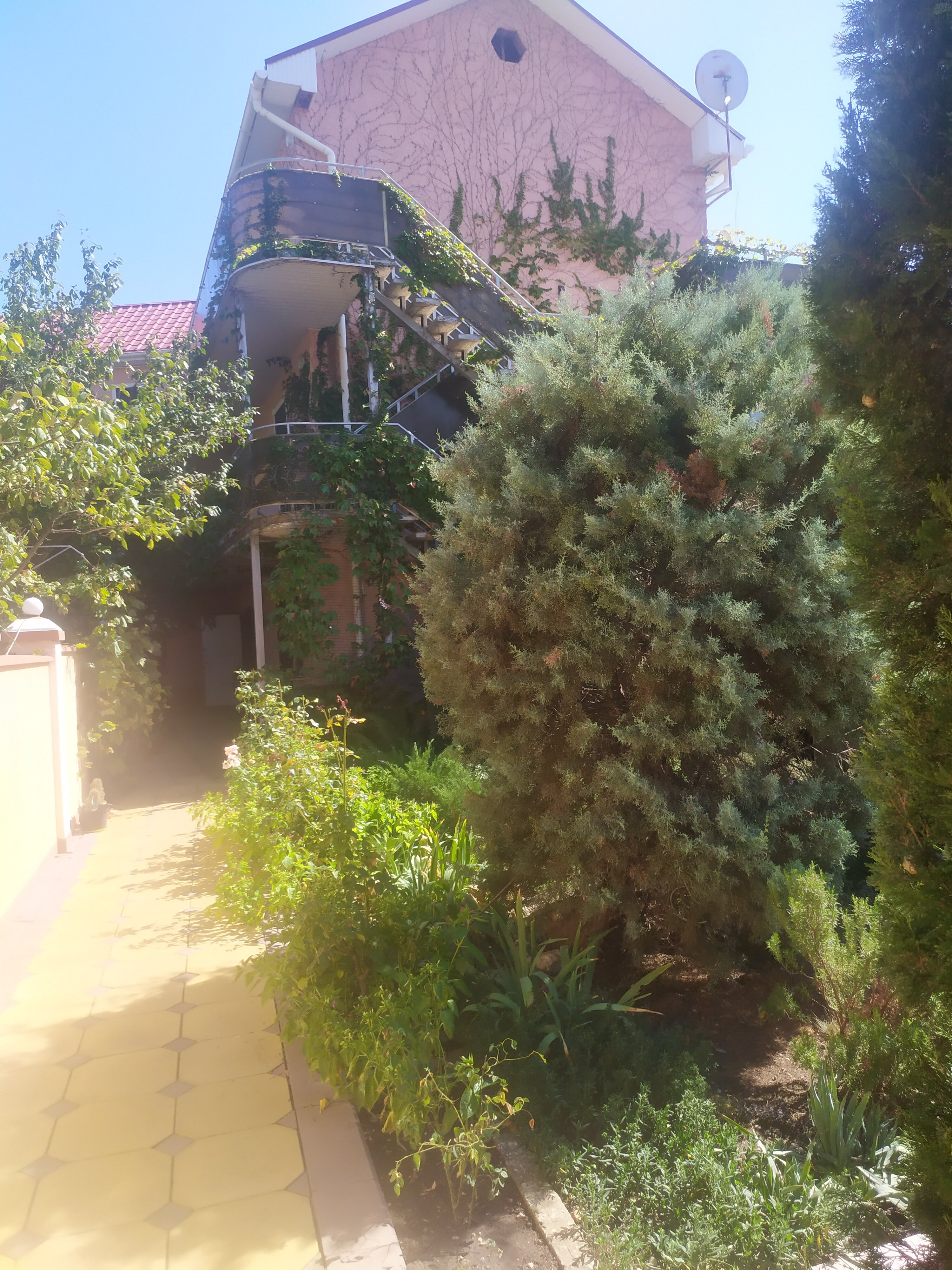 Фото Валента