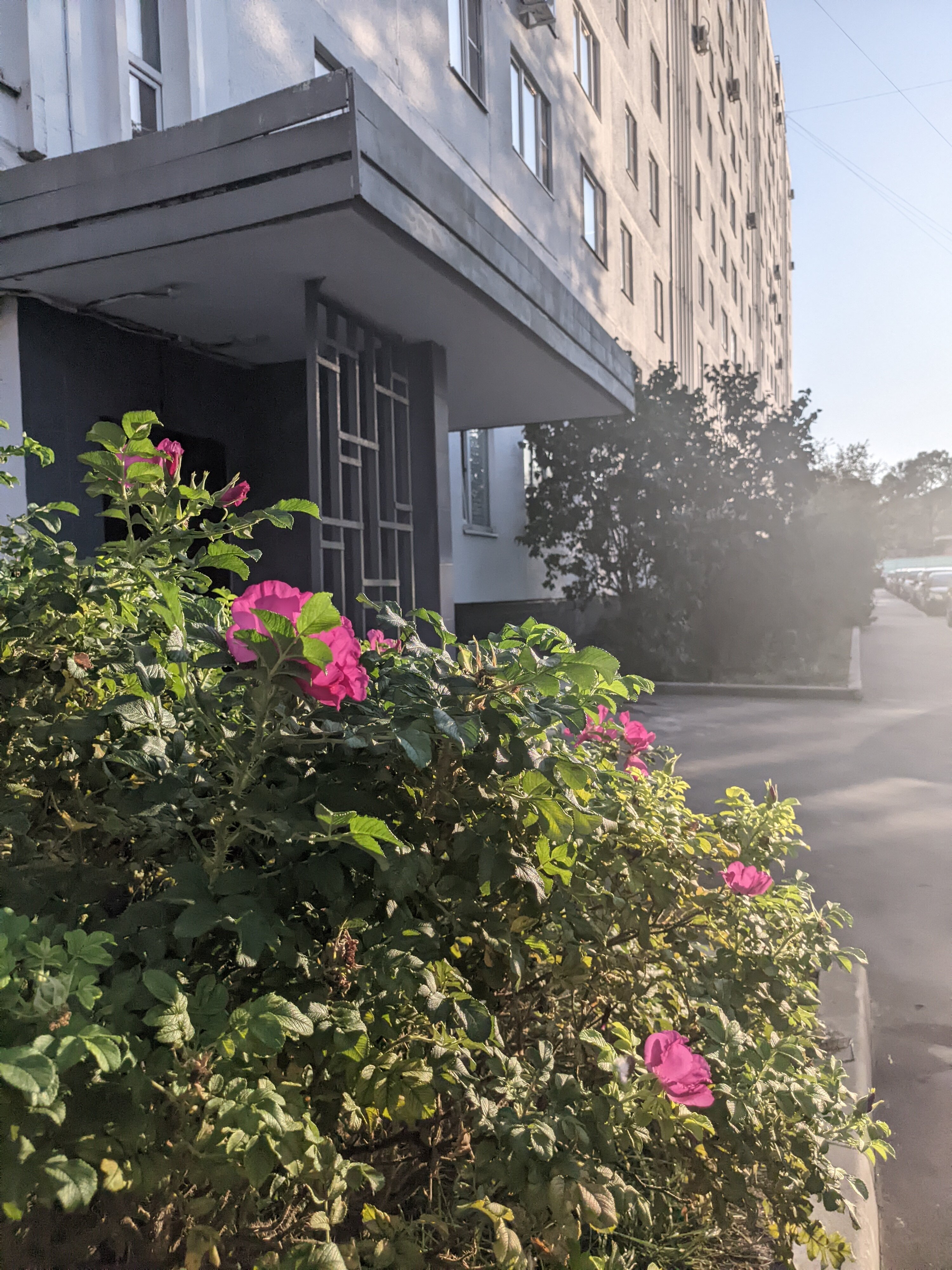 Фото Жилье посуточно