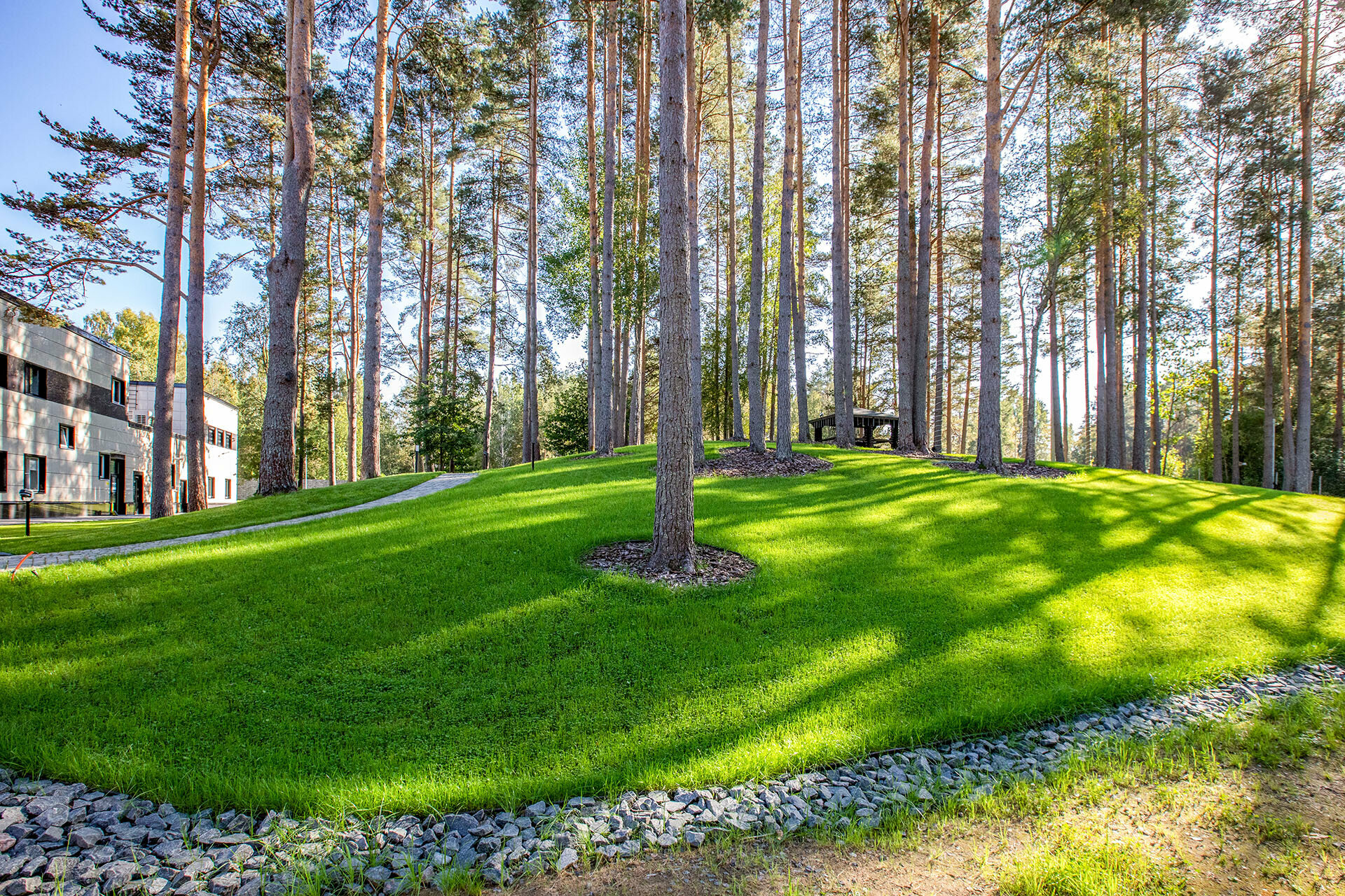 Фото Тюрьма для жира