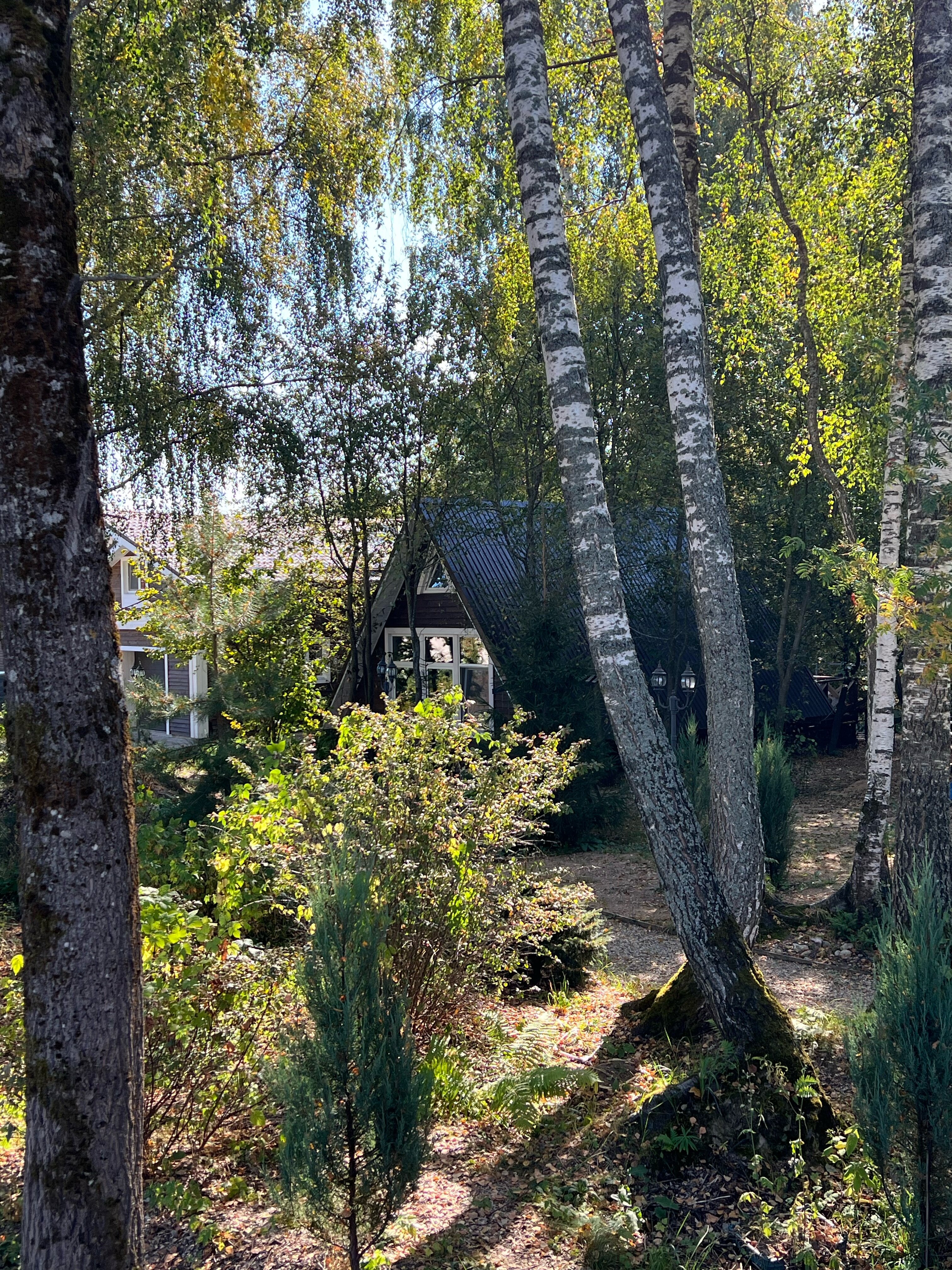 Фото Вечера в Подмосковье