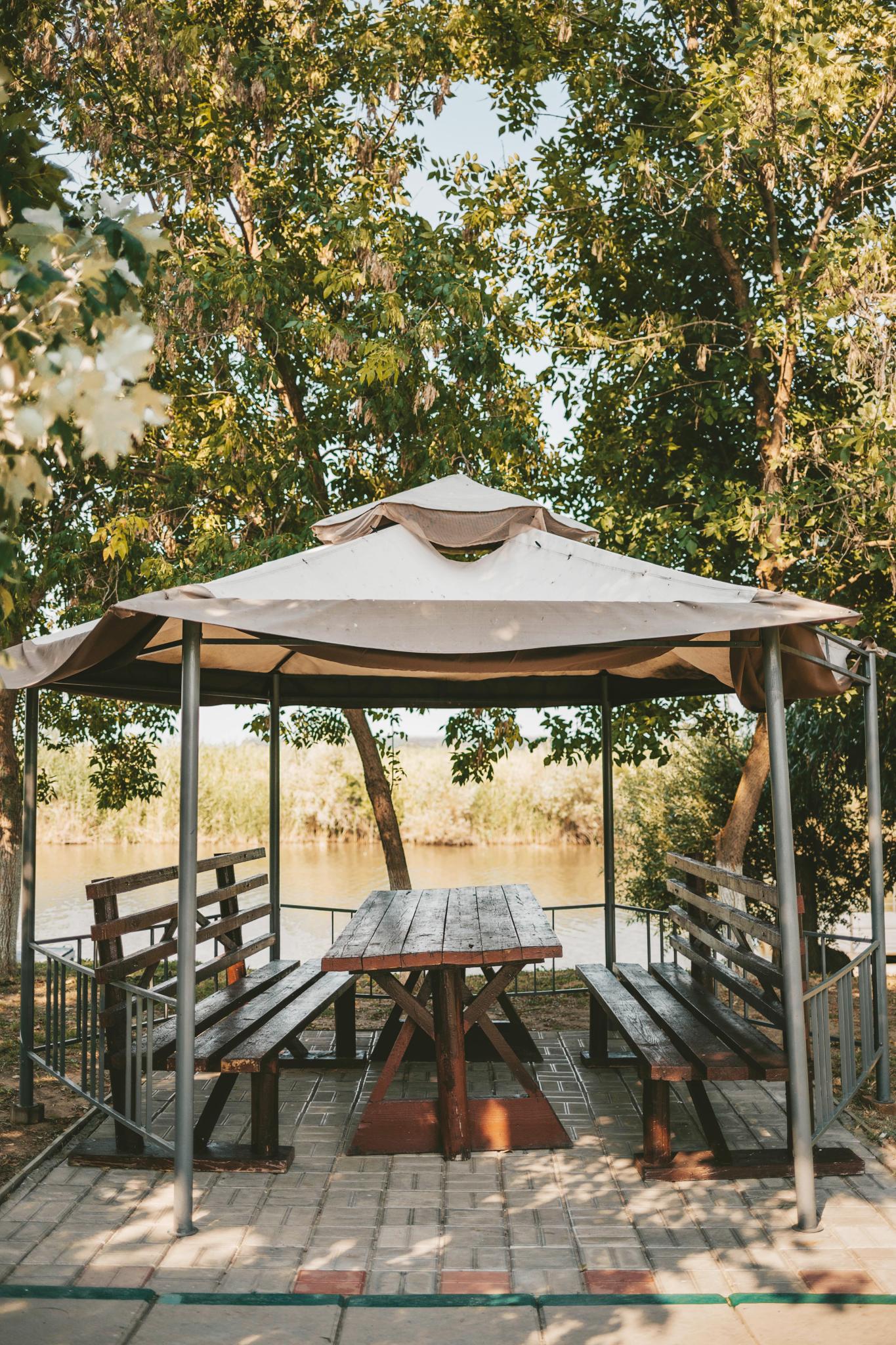 Фото Золотой Лотос