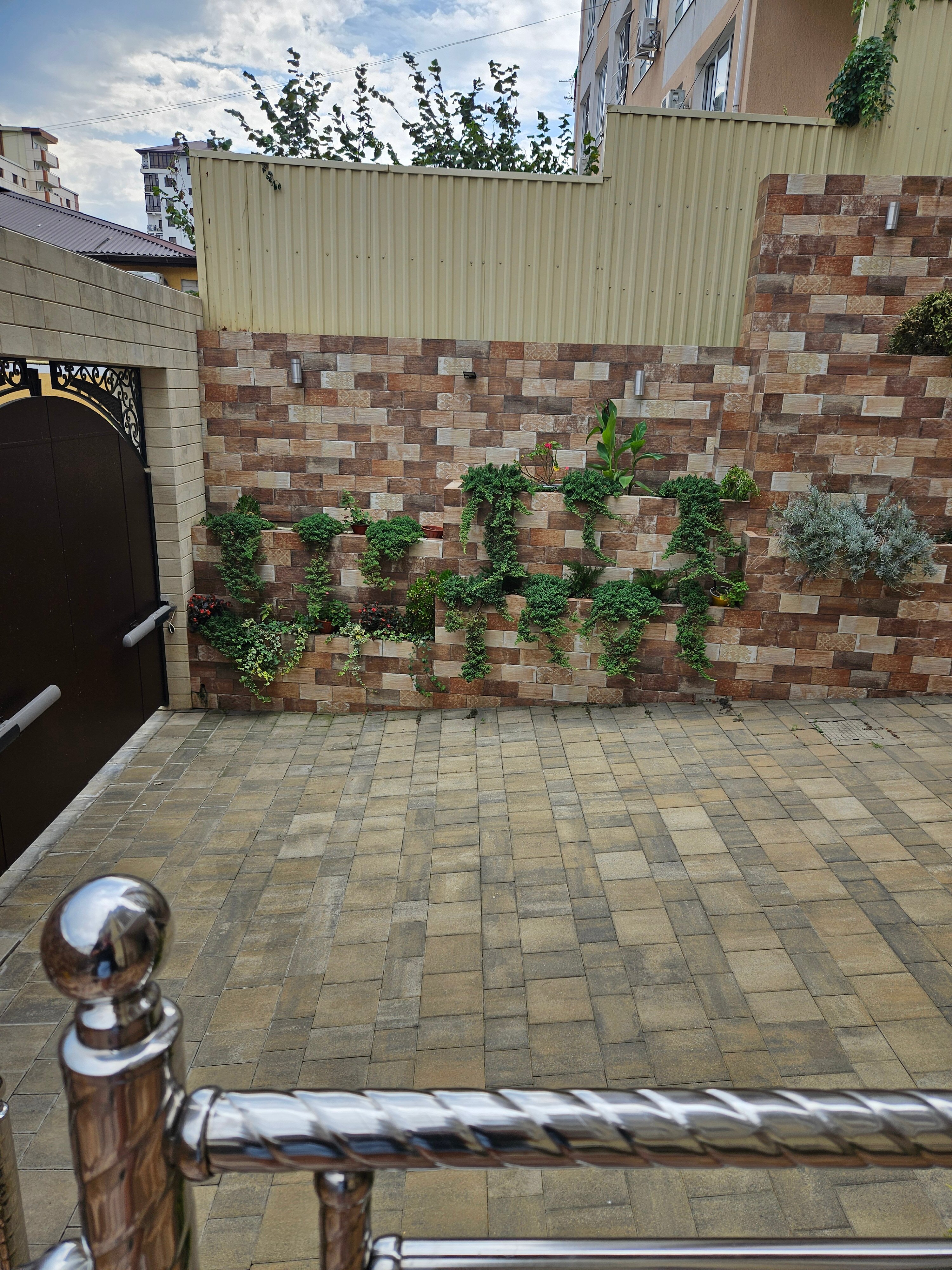 Фото Аморе Мио