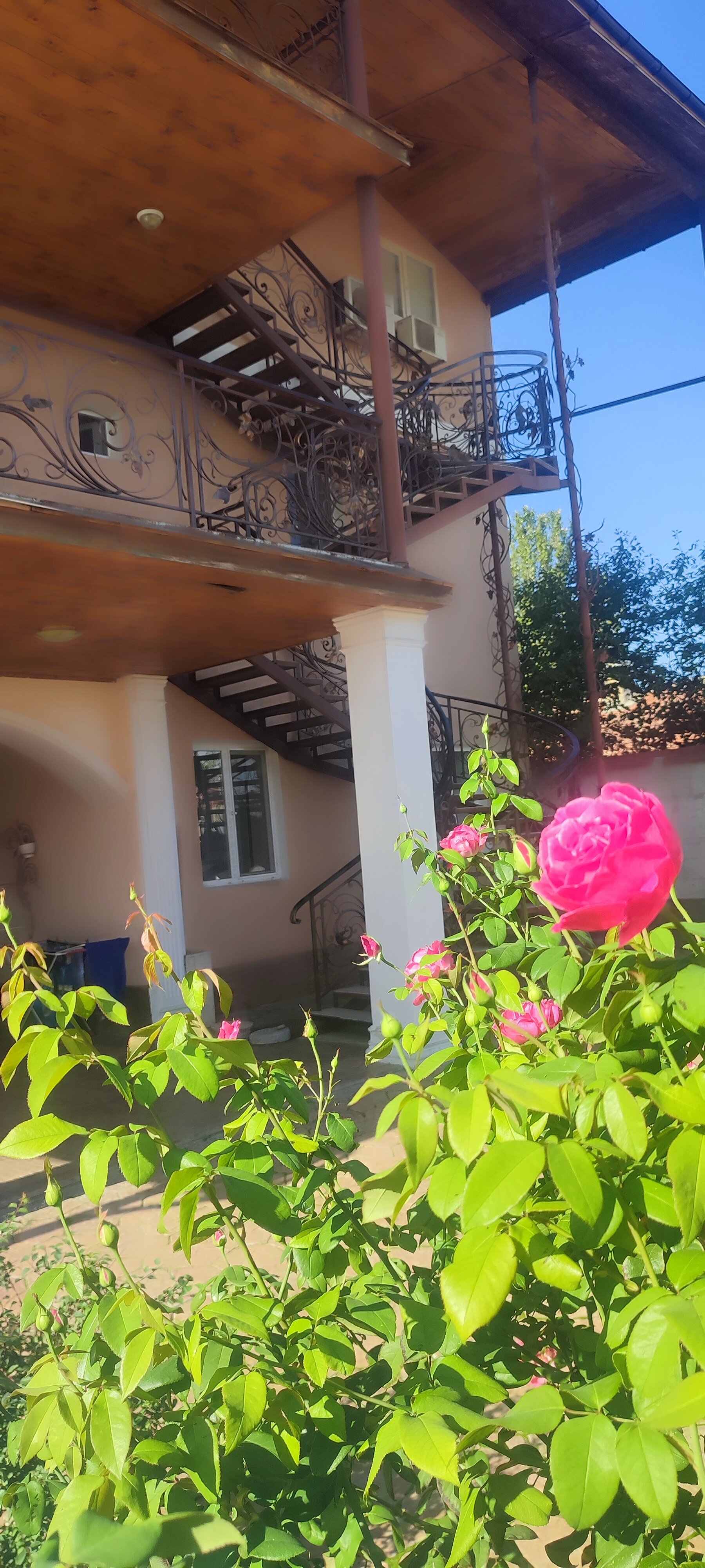 Фото Мер Бак