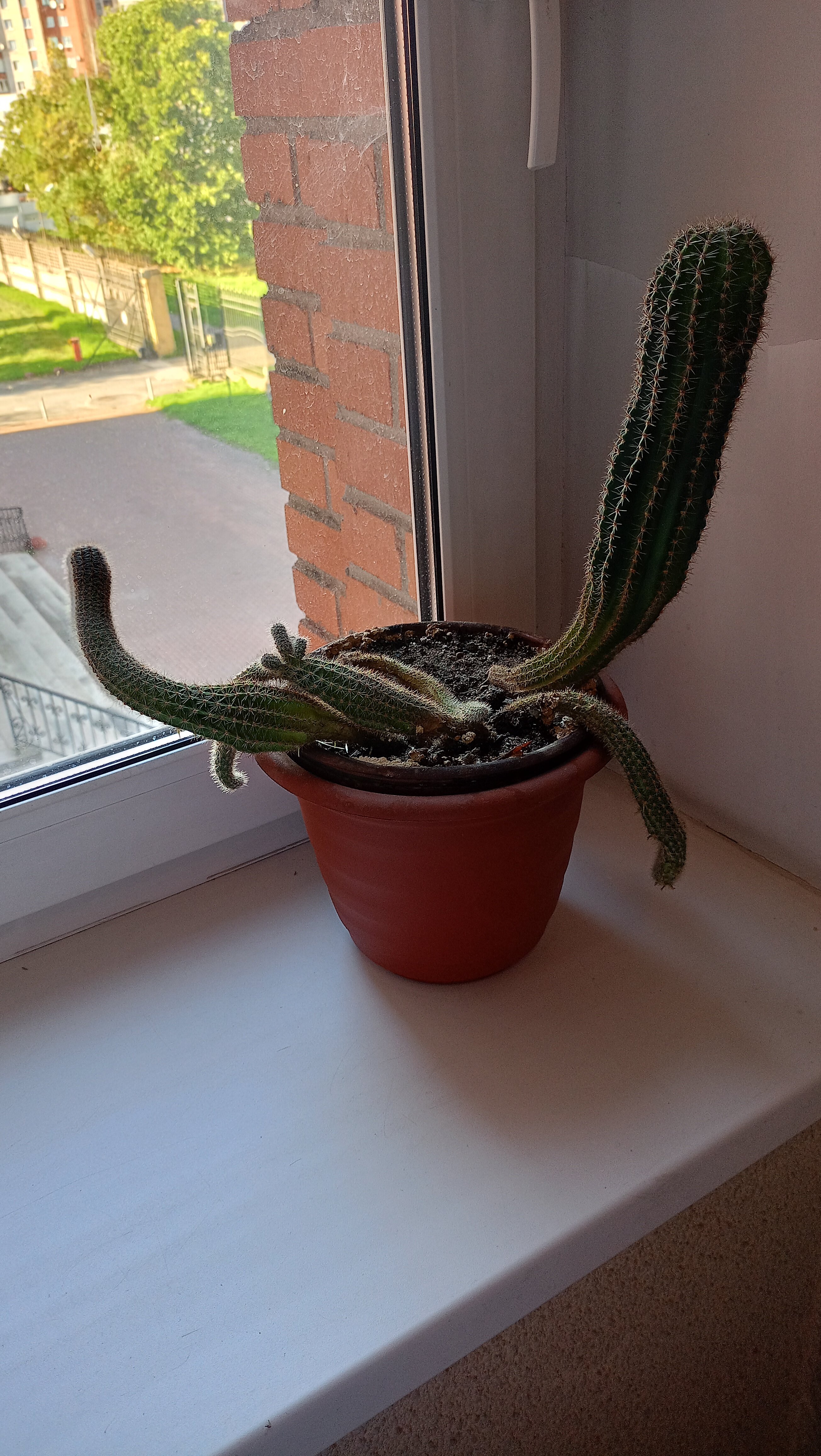 Фото Причал