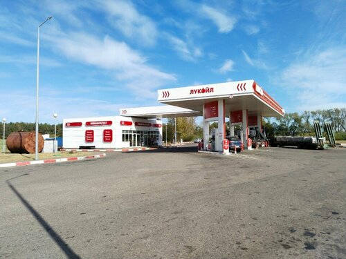 Gas station Lukoil, Mogilev District, photo