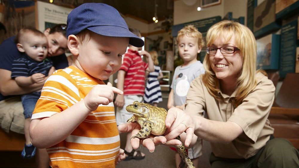 Фото Maumee Bay Lodge and Conference Center