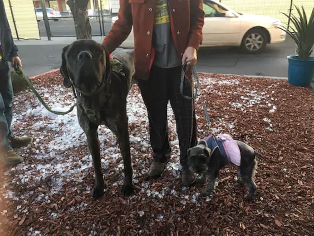 Фото San Mateo Inn