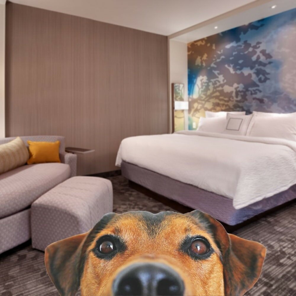 Фото Courtyard Lehi at Thanksgiving Point