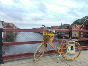 Гостиница Comfort Hotel Park