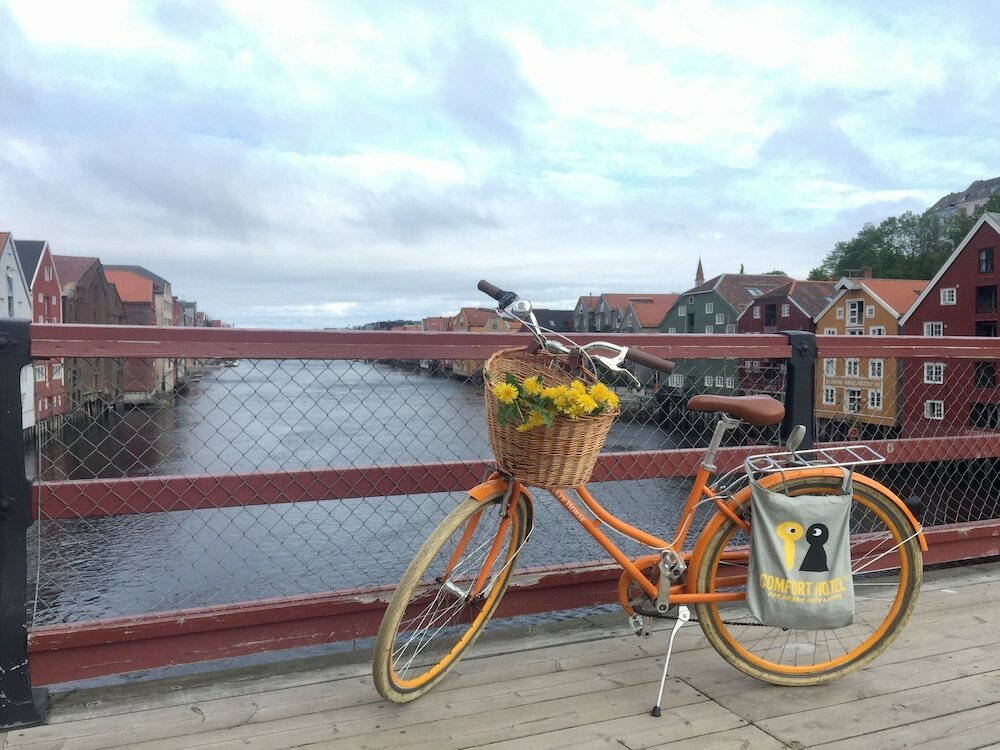 Фото Comfort Hotel Park