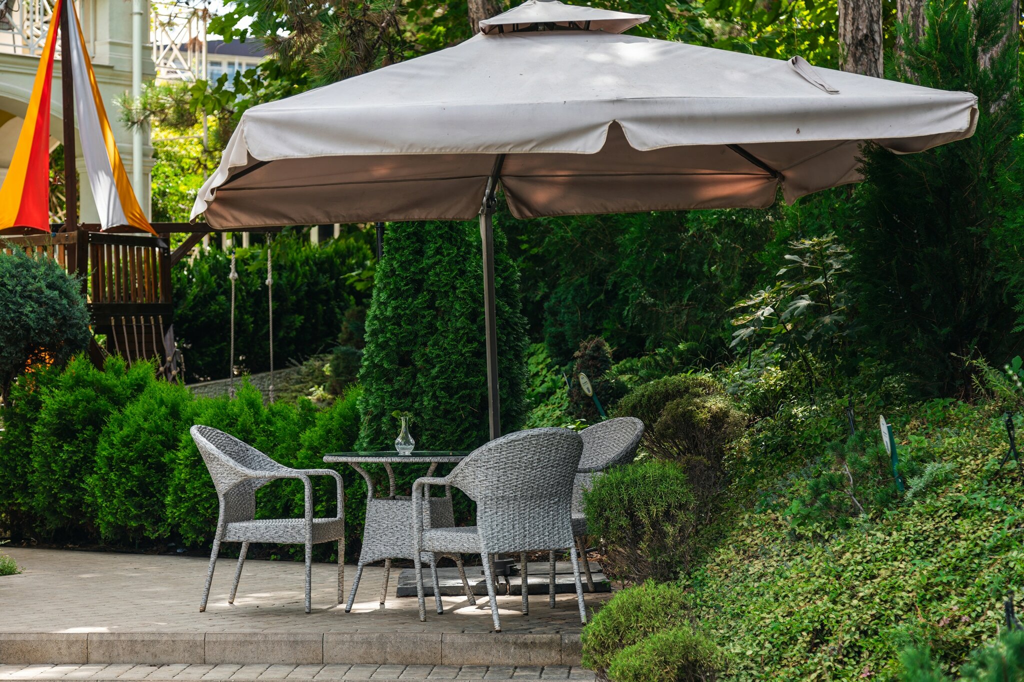 Фото Розмарин