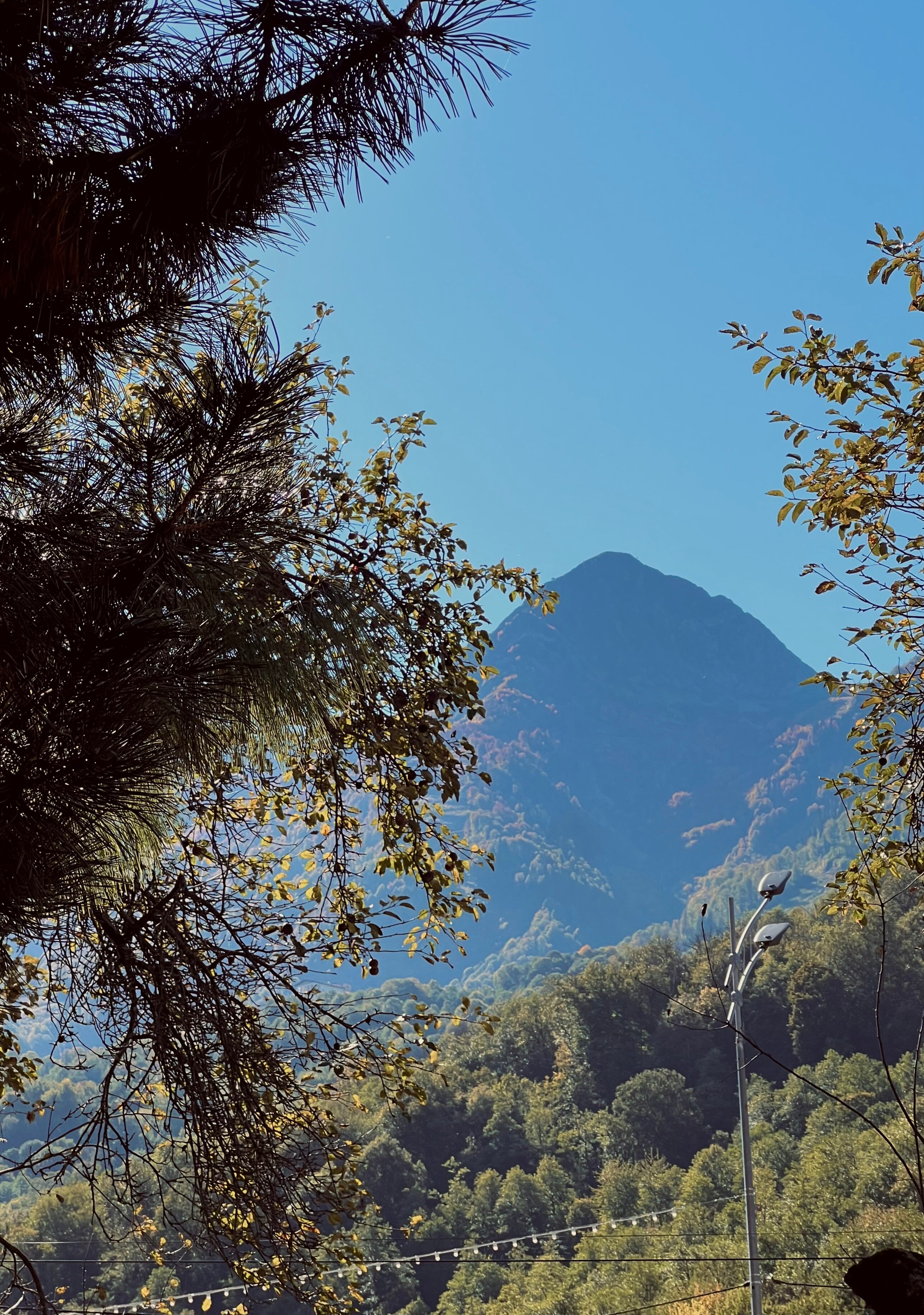 Фото Грейстоун