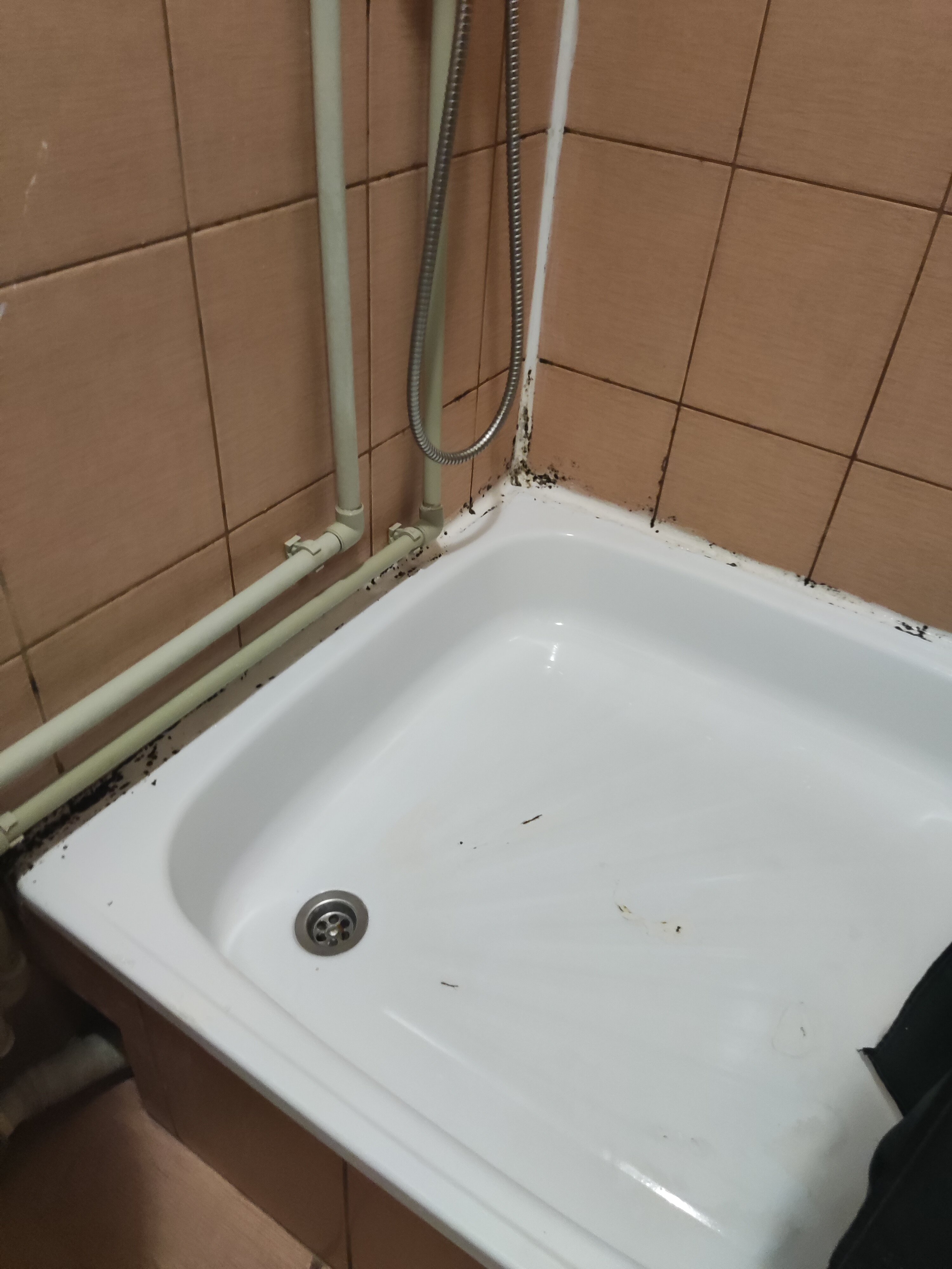 Фото Апсилаа