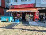 Aydogdu Nuts (İstanbul, Sancaktepe, Uysal Cad., 46A) ، محل بقالة