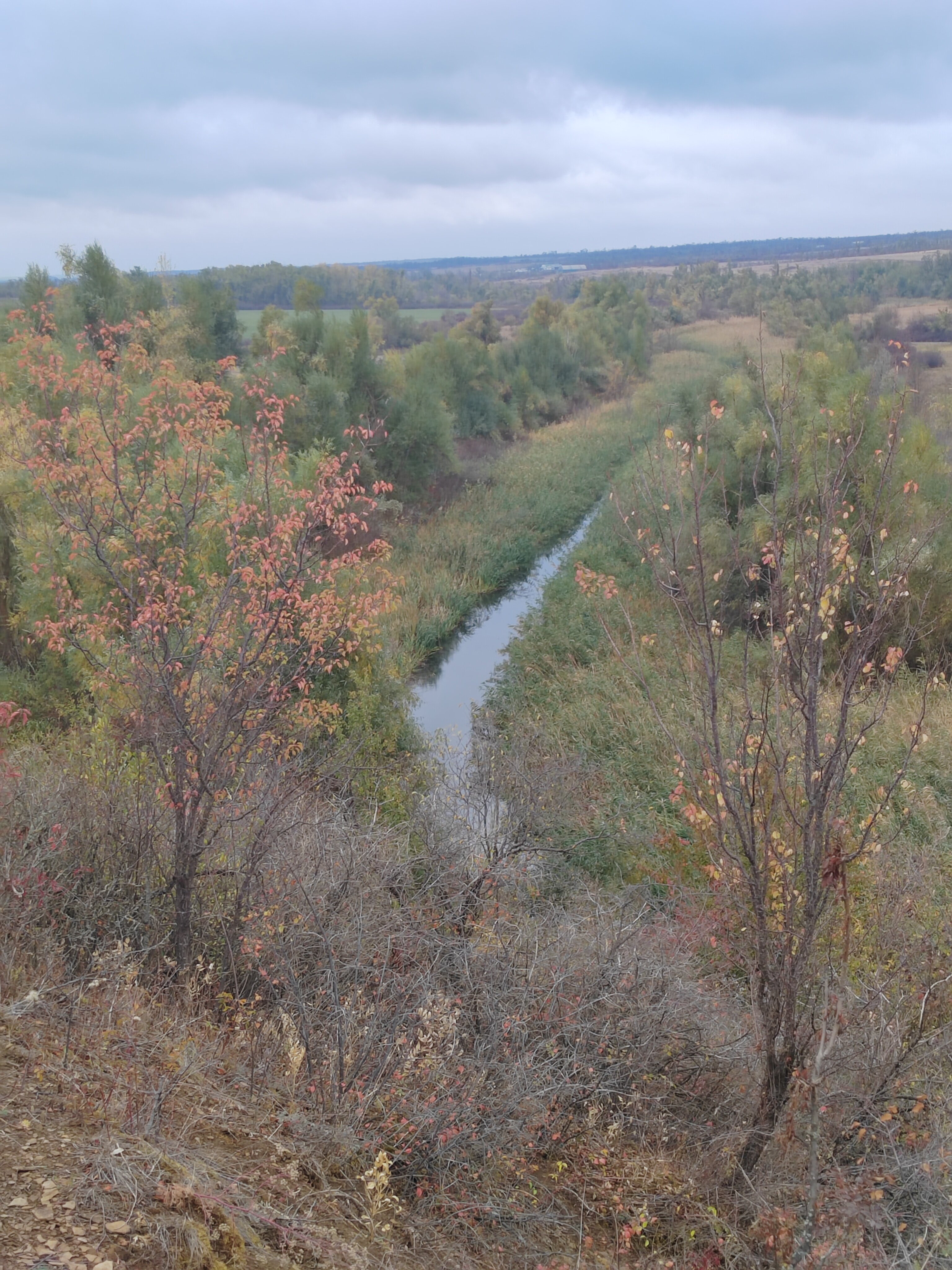 Фото Семейный
