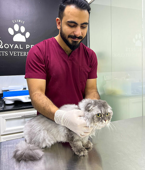 Pet salon Royal Pets Veterinary Clinic, Dubai, photo